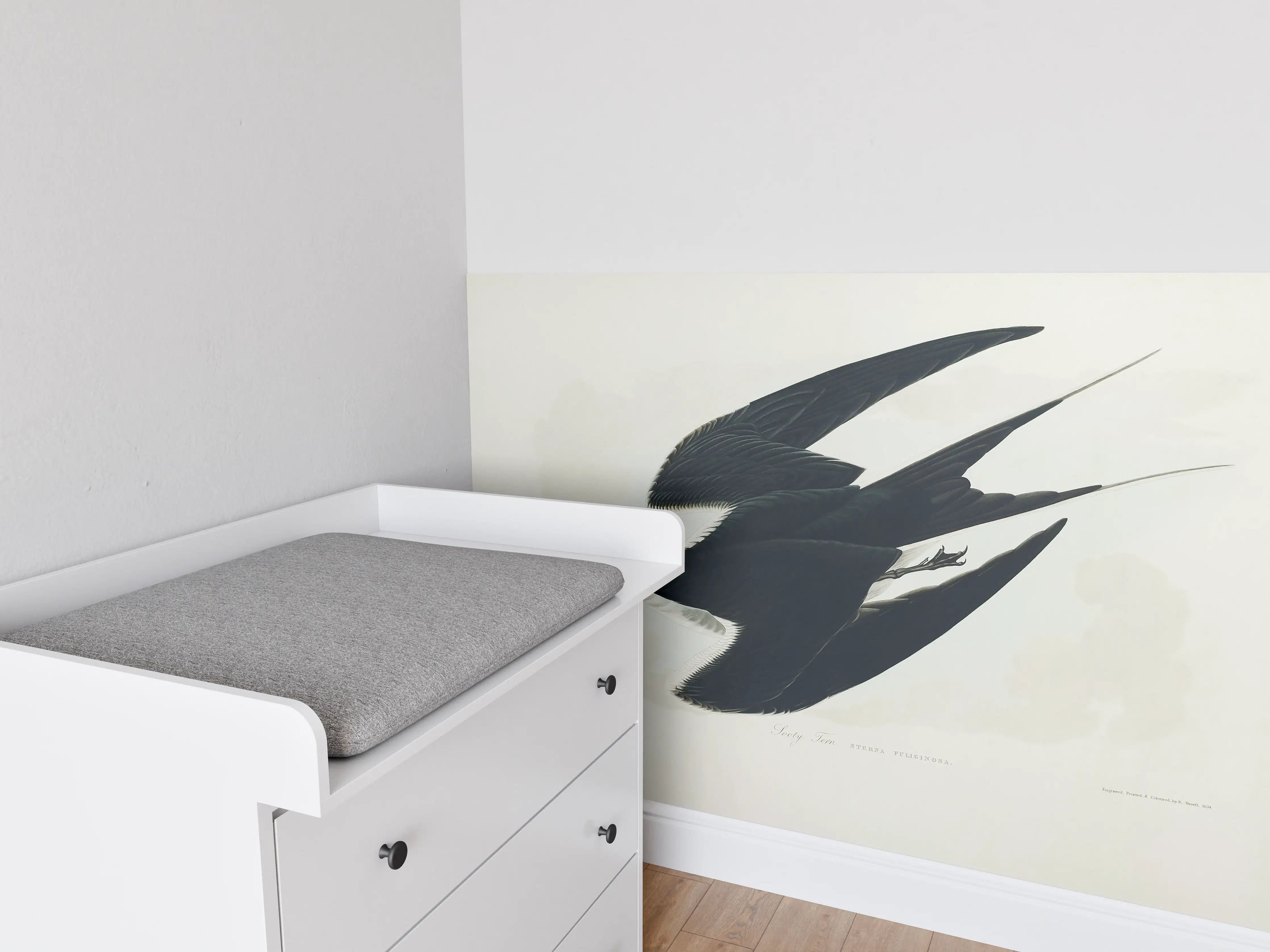 Babyzimmer Wandgestaltung - Rußseeschwalbe Portrait - John James Audubon