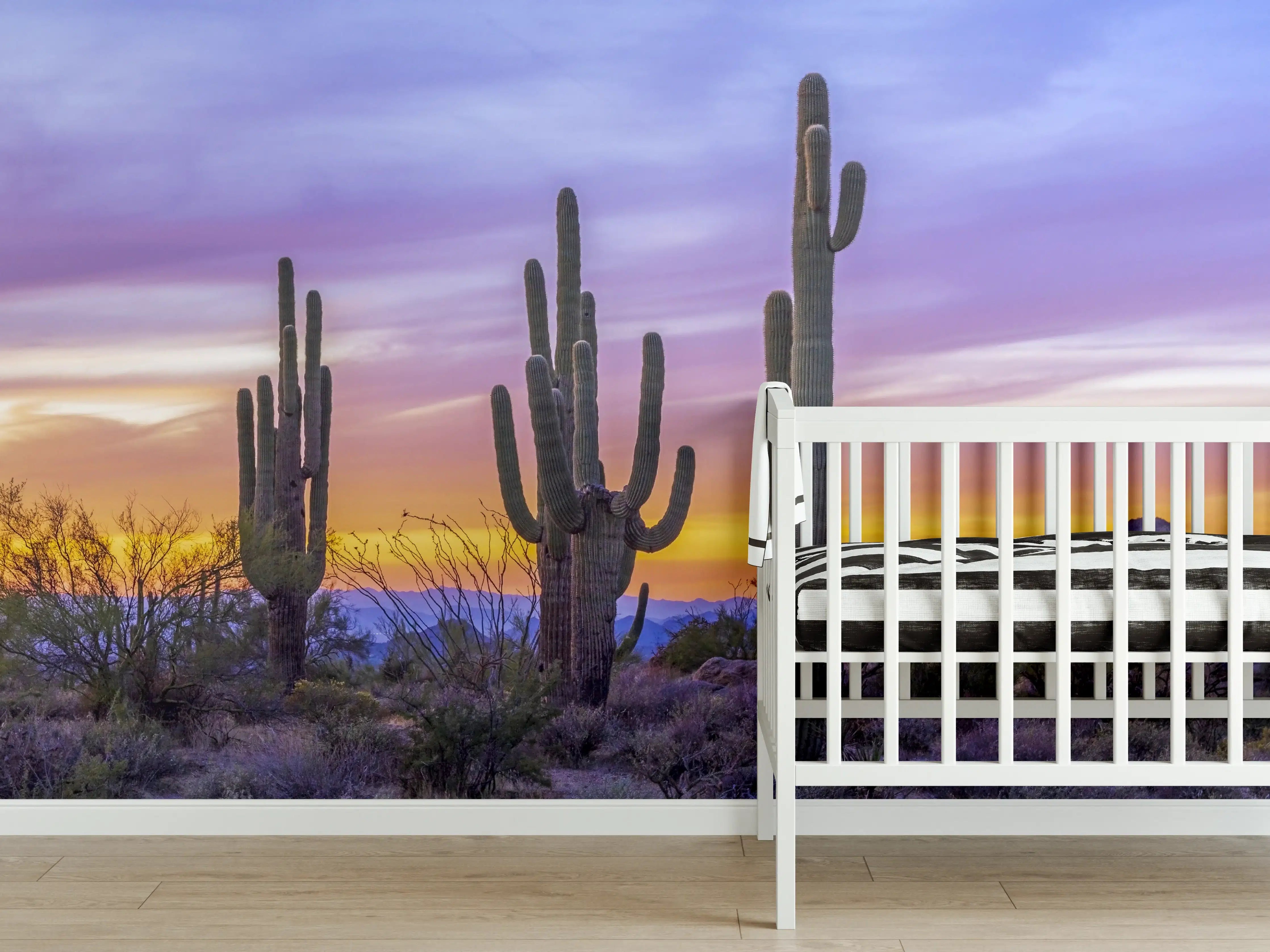 Babyzimmer Wandgestaltung - Saguaro-Kaktus bei Sonnenuntergang in Arizona