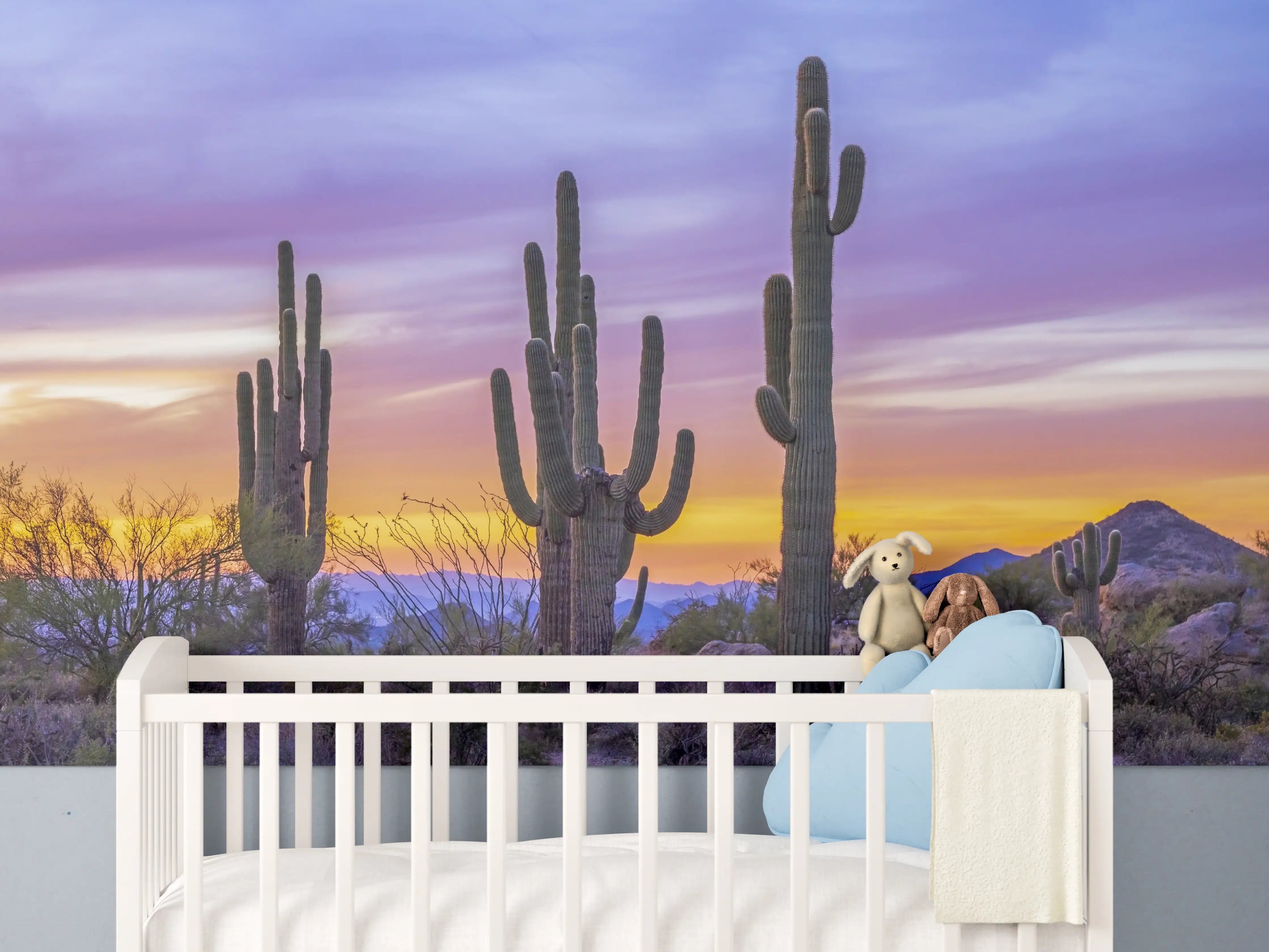 Babyzimmer Wandgestaltung - Saguaro-Kaktus bei Sonnenuntergang in Arizona