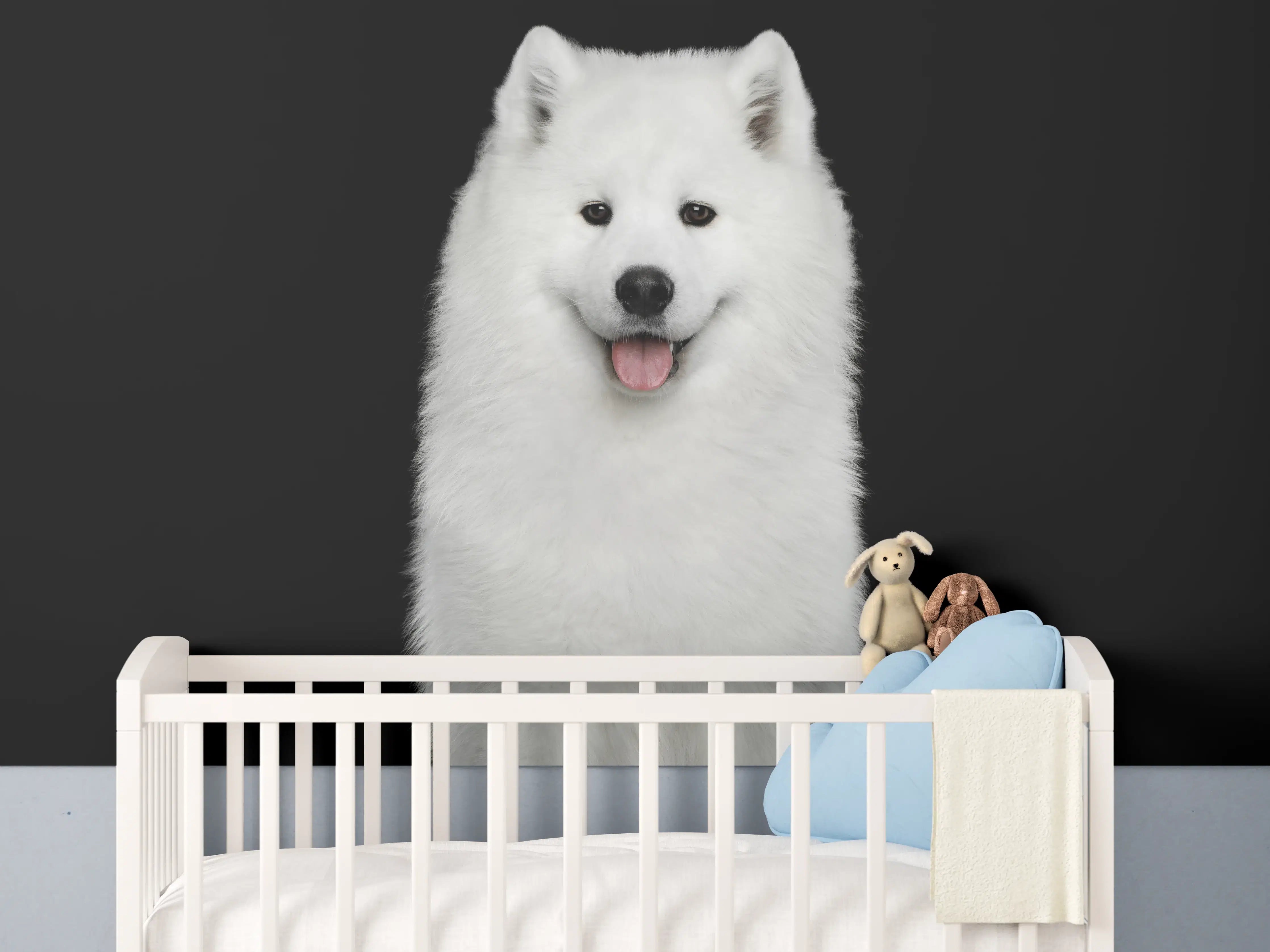 Babyzimmer Wandgestaltung - Samojeden Hund