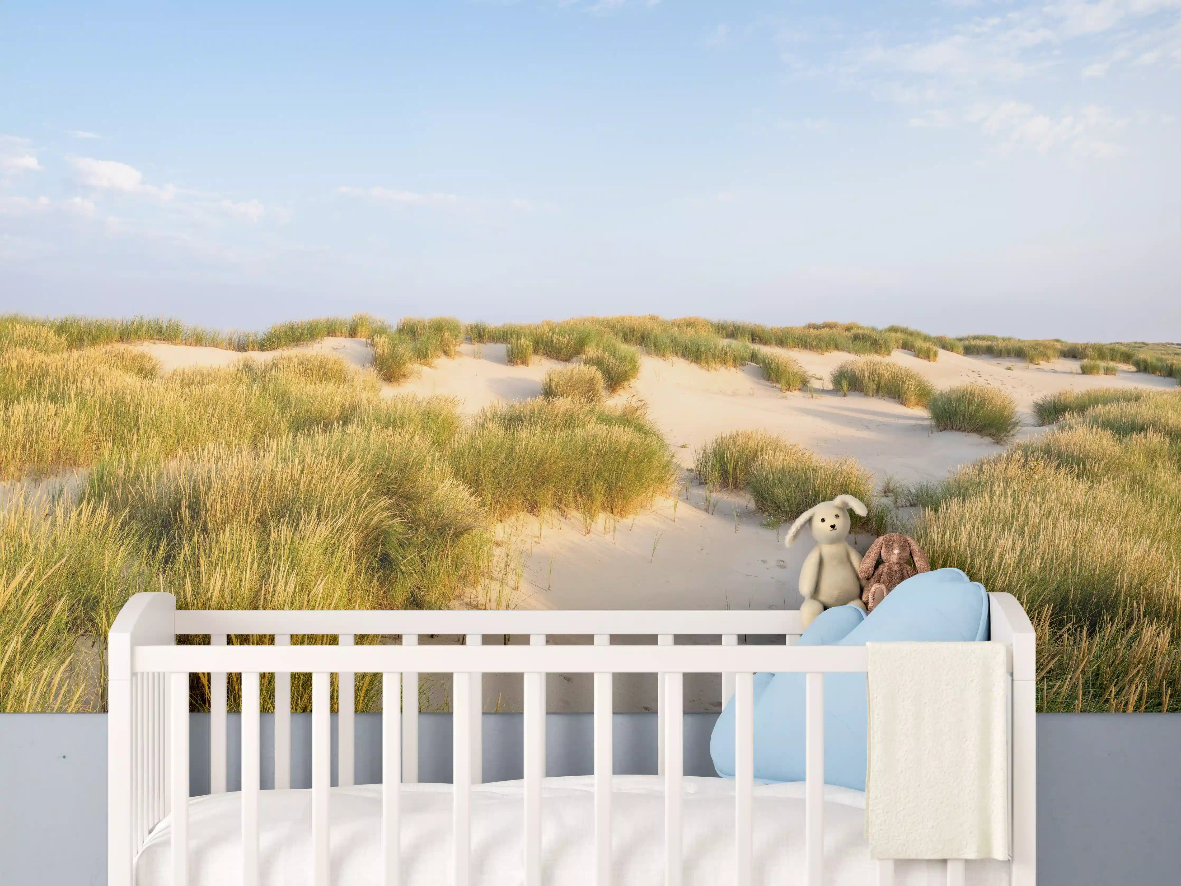 Babyzimmer Wandgestaltung - Sanddünen mit Gräsern unter blauem Himmel