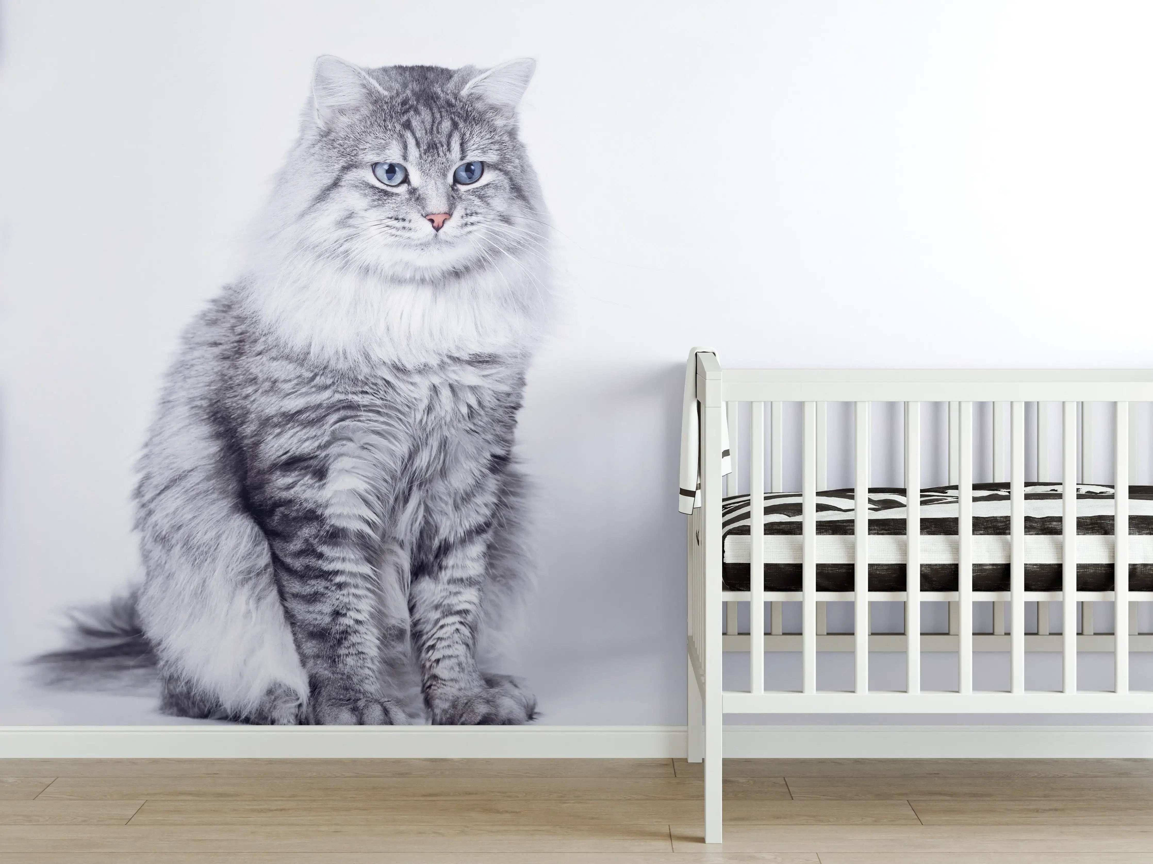 Babyzimmer Wandgestaltung - Schattiger Katzenblick