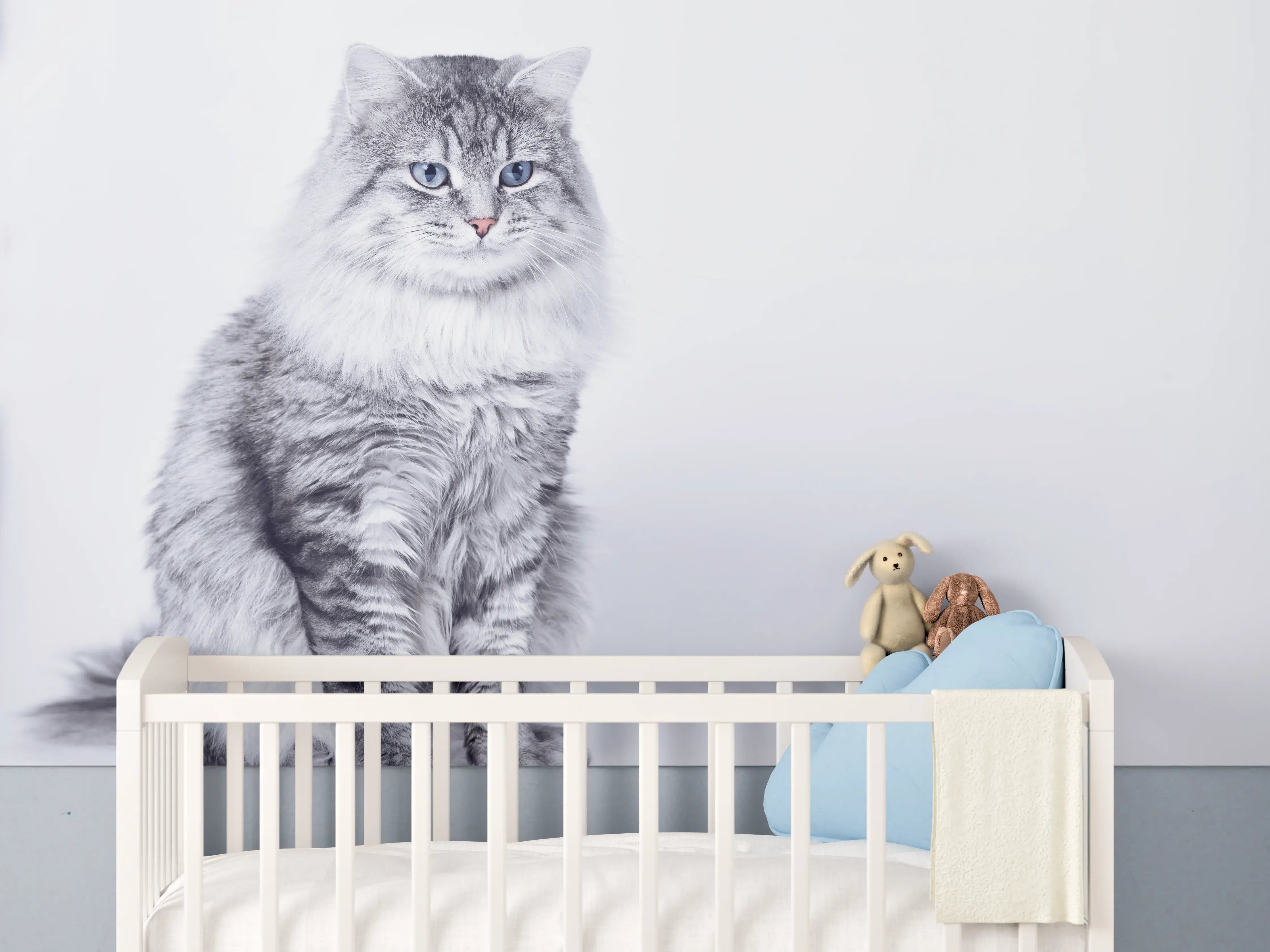Babyzimmer Wandgestaltung - Schattiger Katzenblick