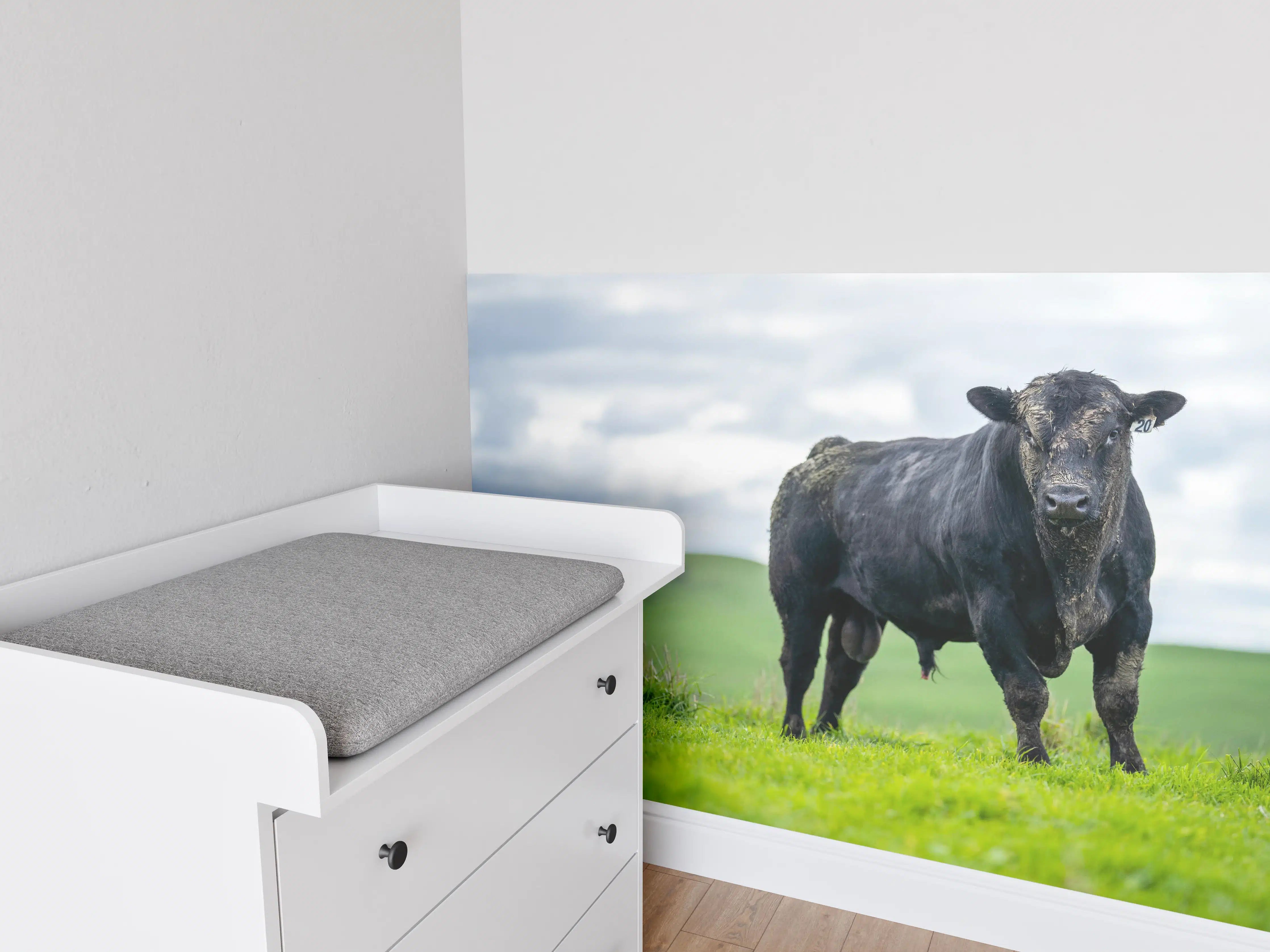 Babyzimmer Wandgestaltung - Schmutziger Aberdeen Angus