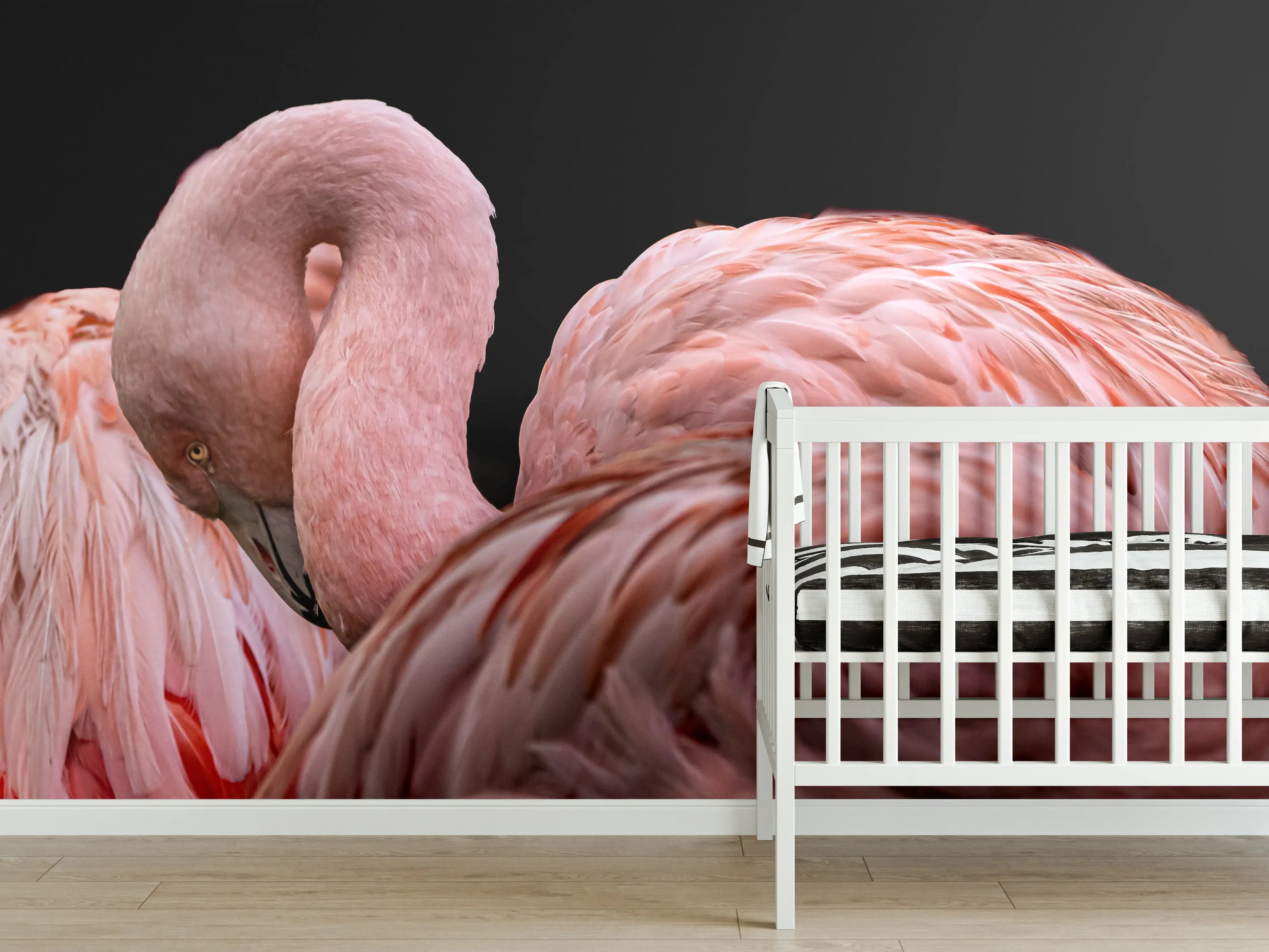 Babyzimmer Wandgestaltung - Schnappschuss eines Flamingo