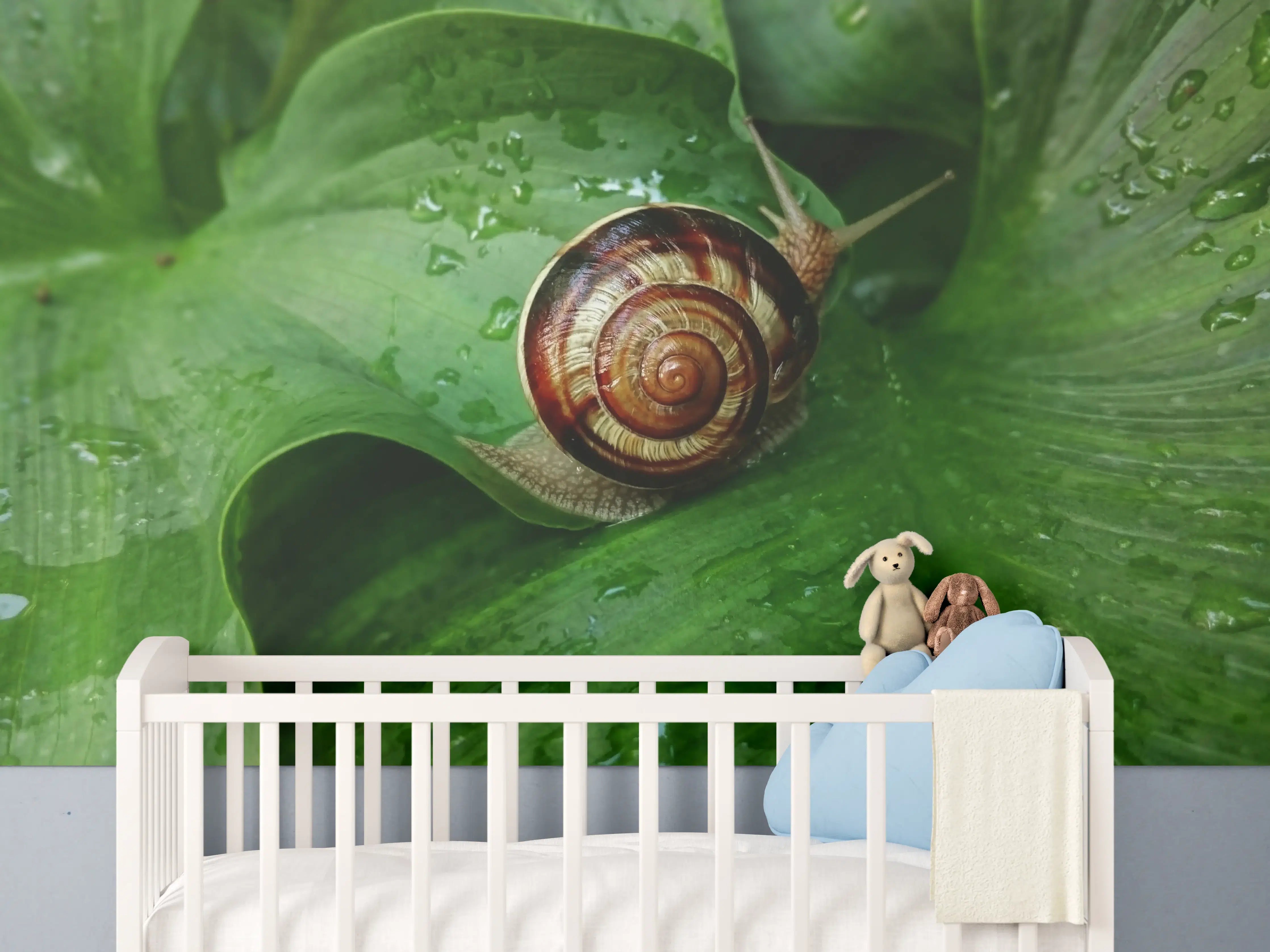Babyzimmer Wandgestaltung - Schnecke auf einem nassen Blatt