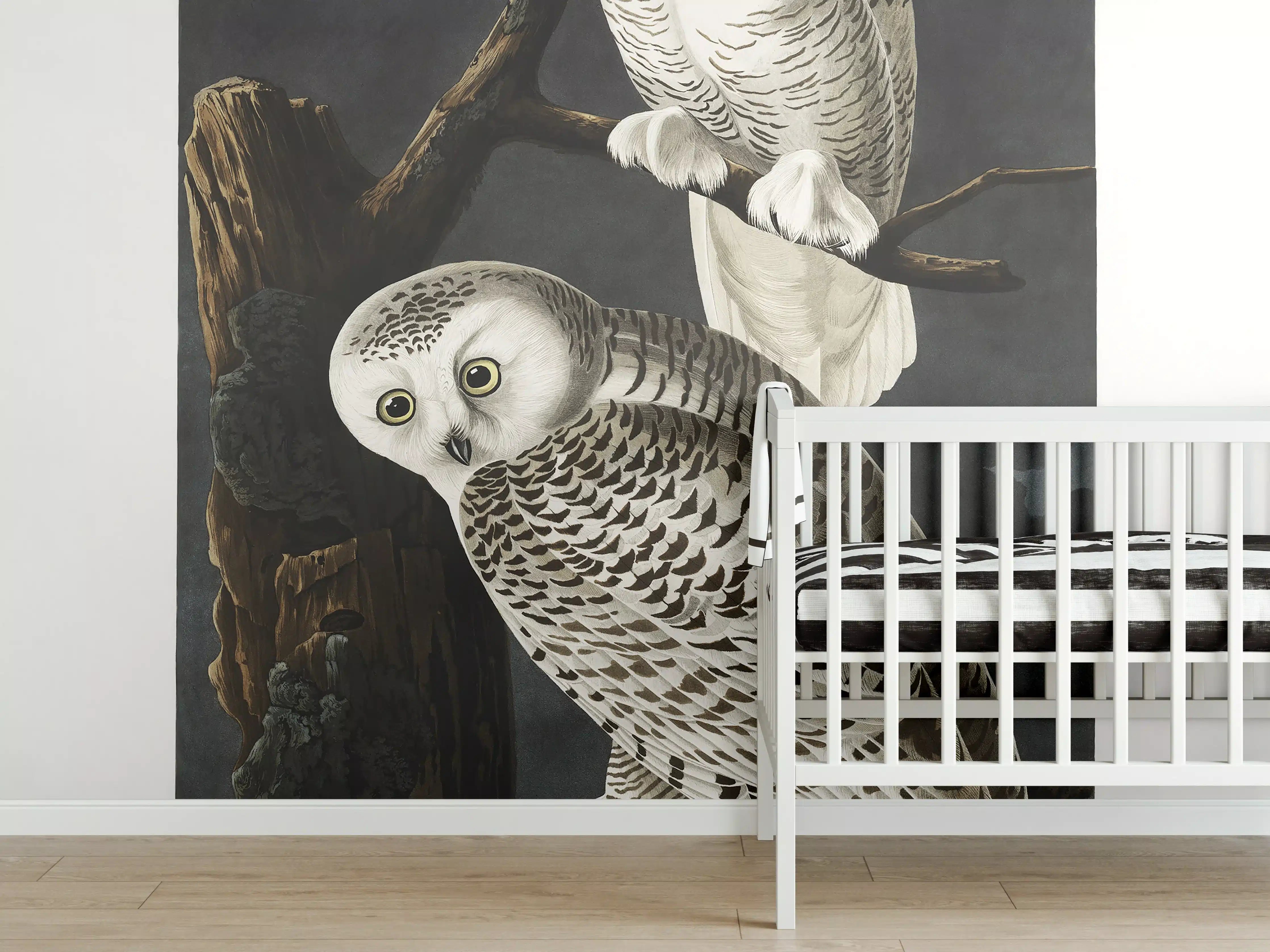 Babyzimmer Wandgestaltung - Schneeweiße Eulen - John James Audubon