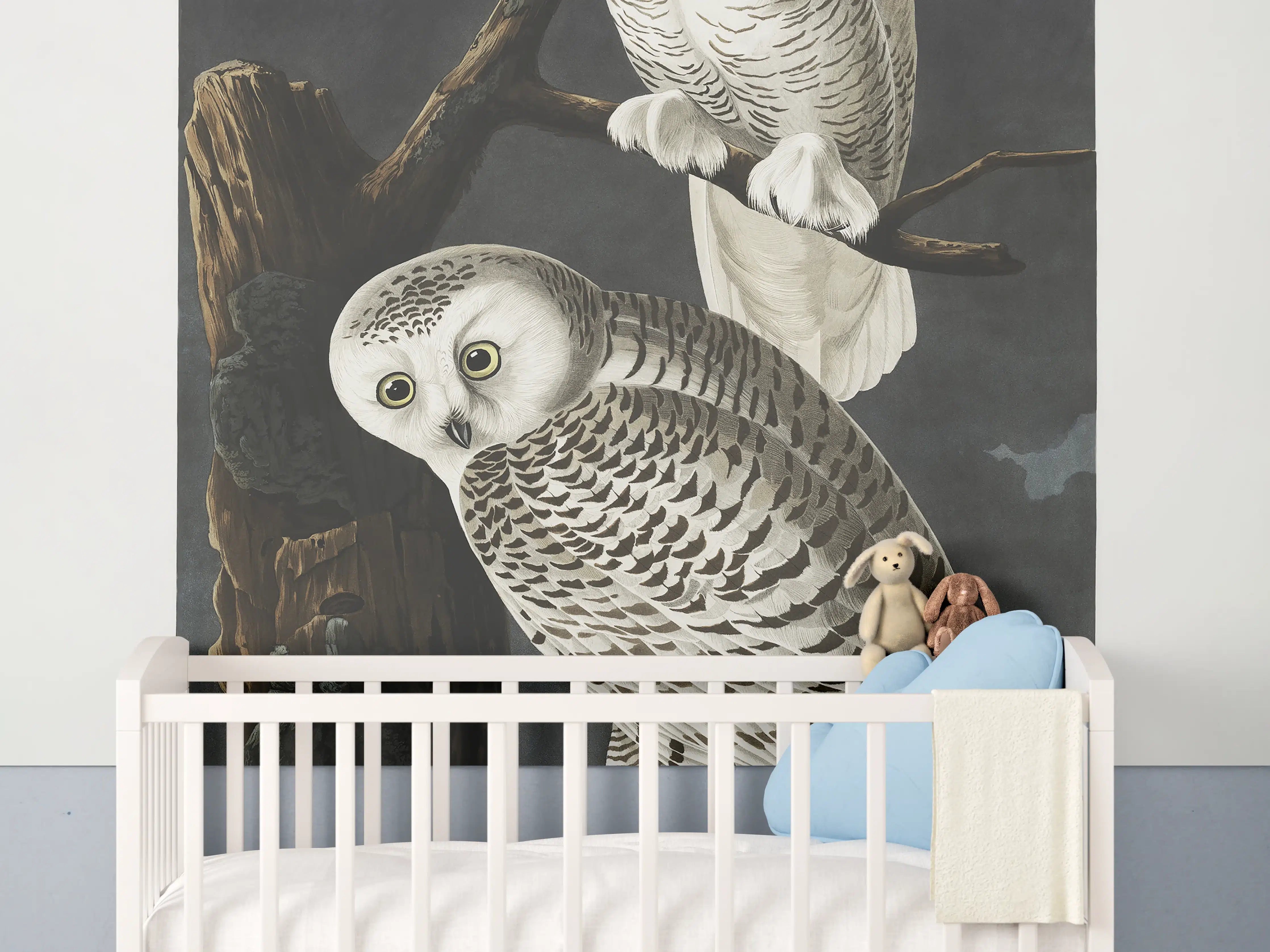 Babyzimmer Wandgestaltung - Schneeweiße Eulen - John James Audubon