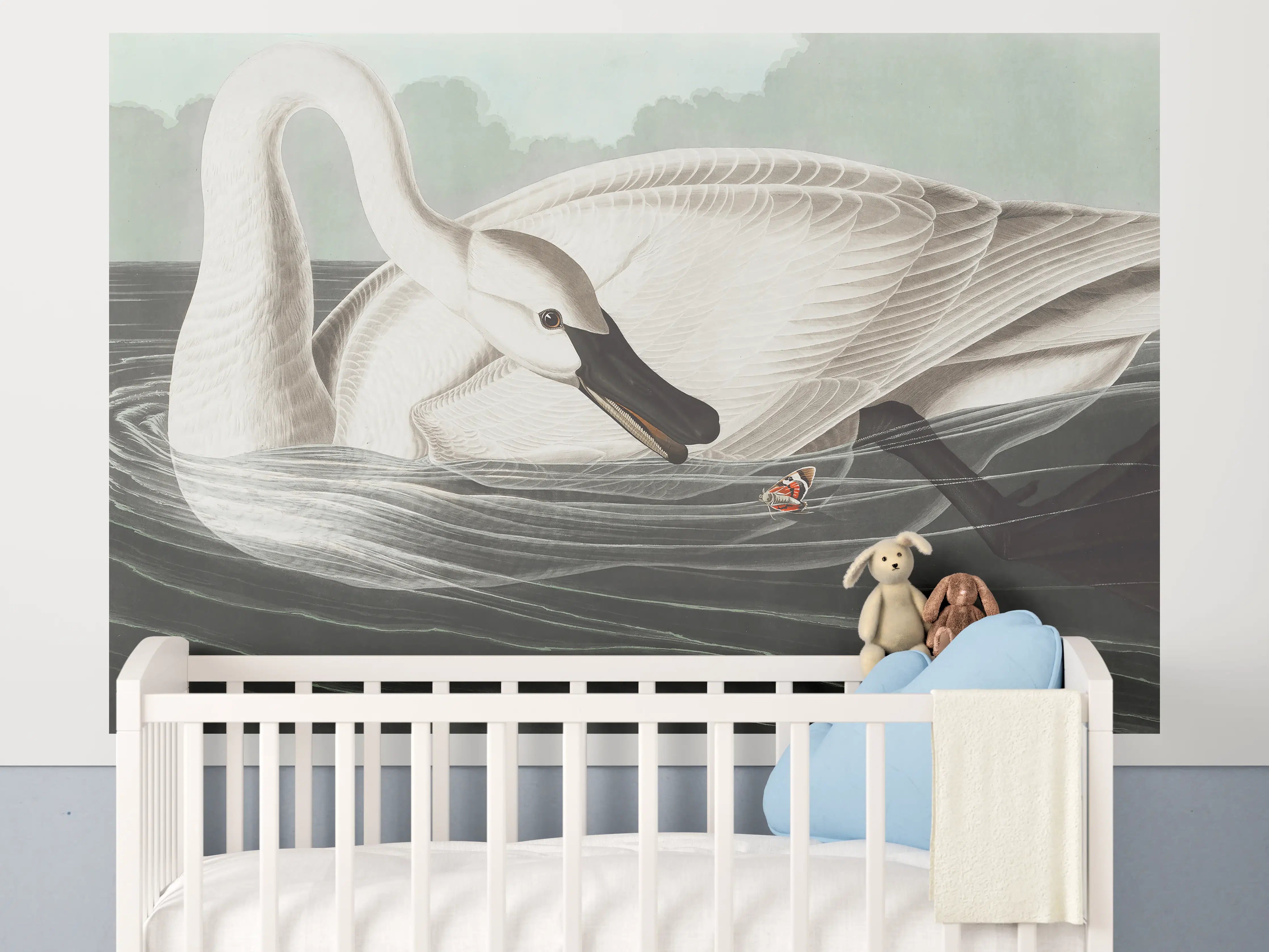 Babyzimmer Wandgestaltung - Schneeweißer Schwan - John James Audubon
