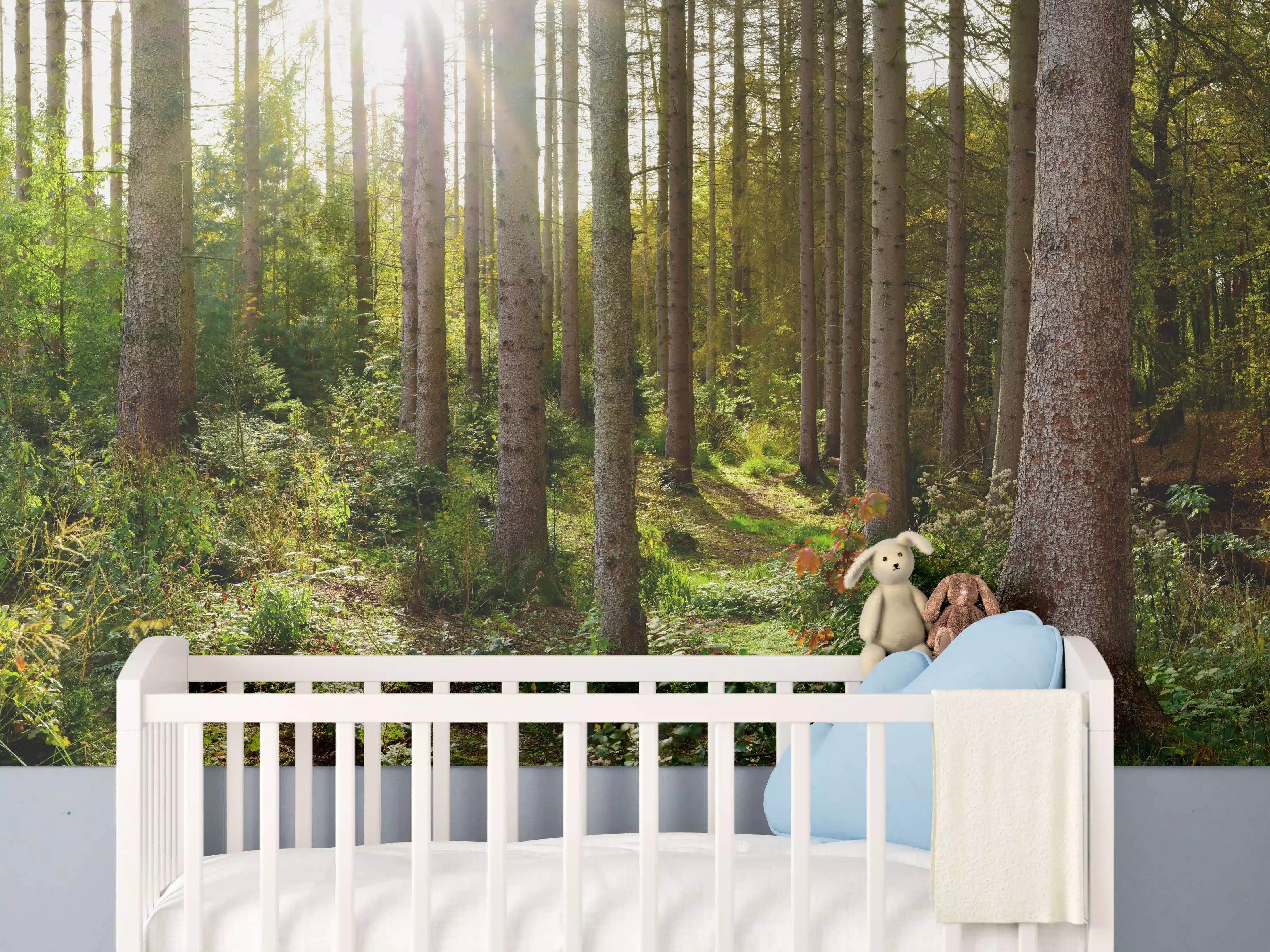 Babyzimmer Wandgestaltung - Schöner Fichtenwald im Herbst