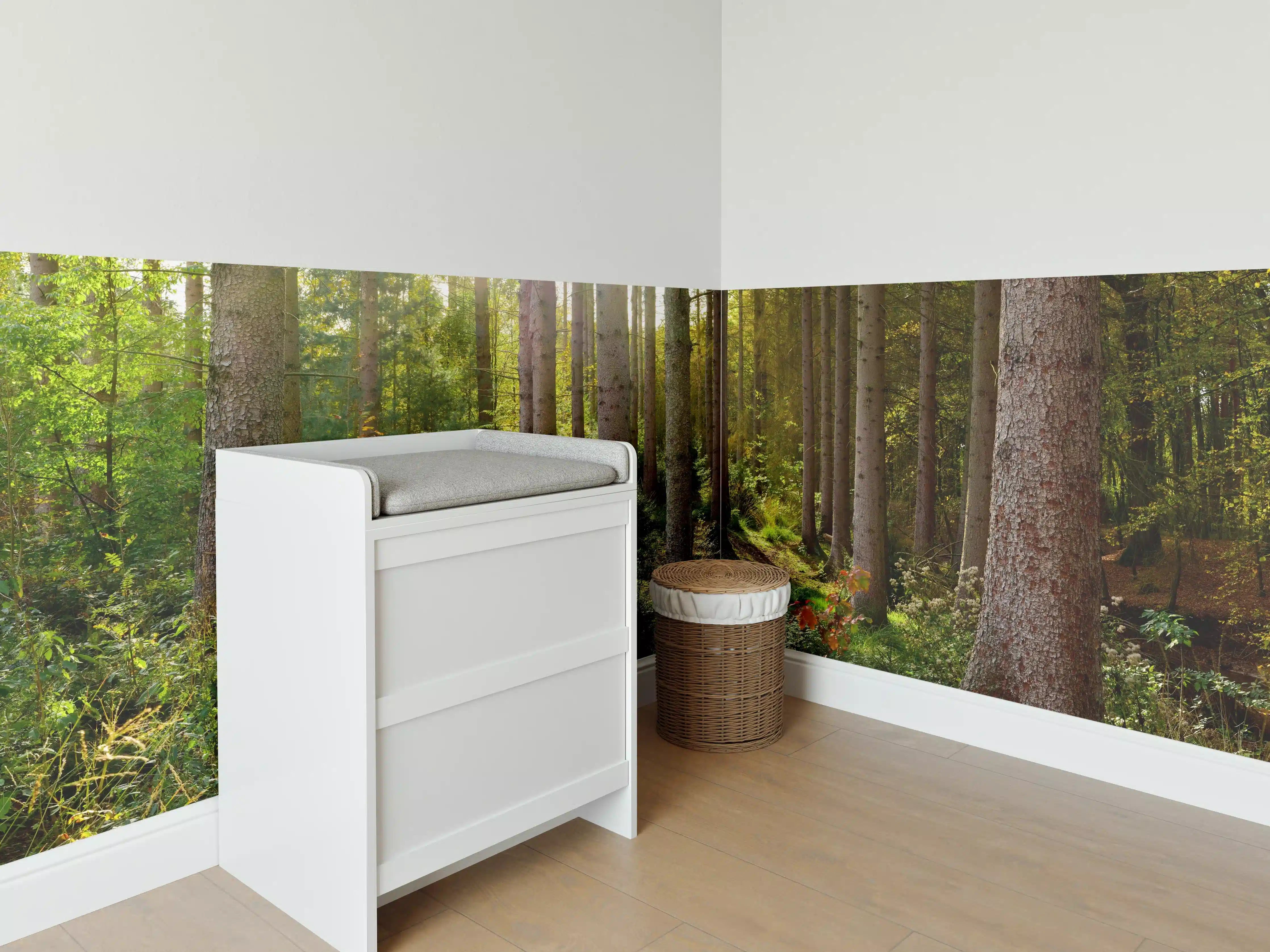 Babyzimmer Wandgestaltung - Schöner Fichtenwald im Herbst