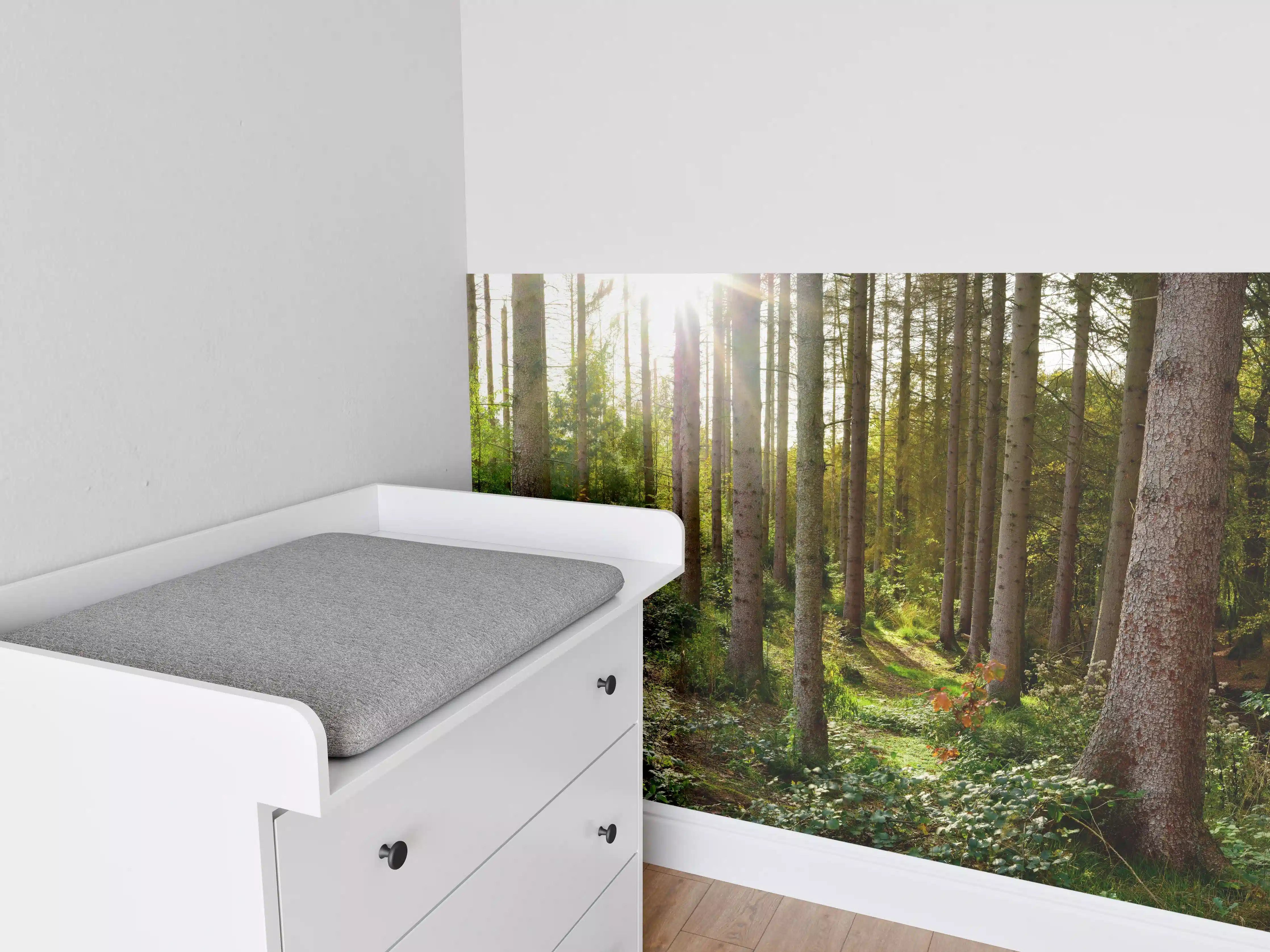 Babyzimmer Wandgestaltung - Schöner Fichtenwald im Herbst