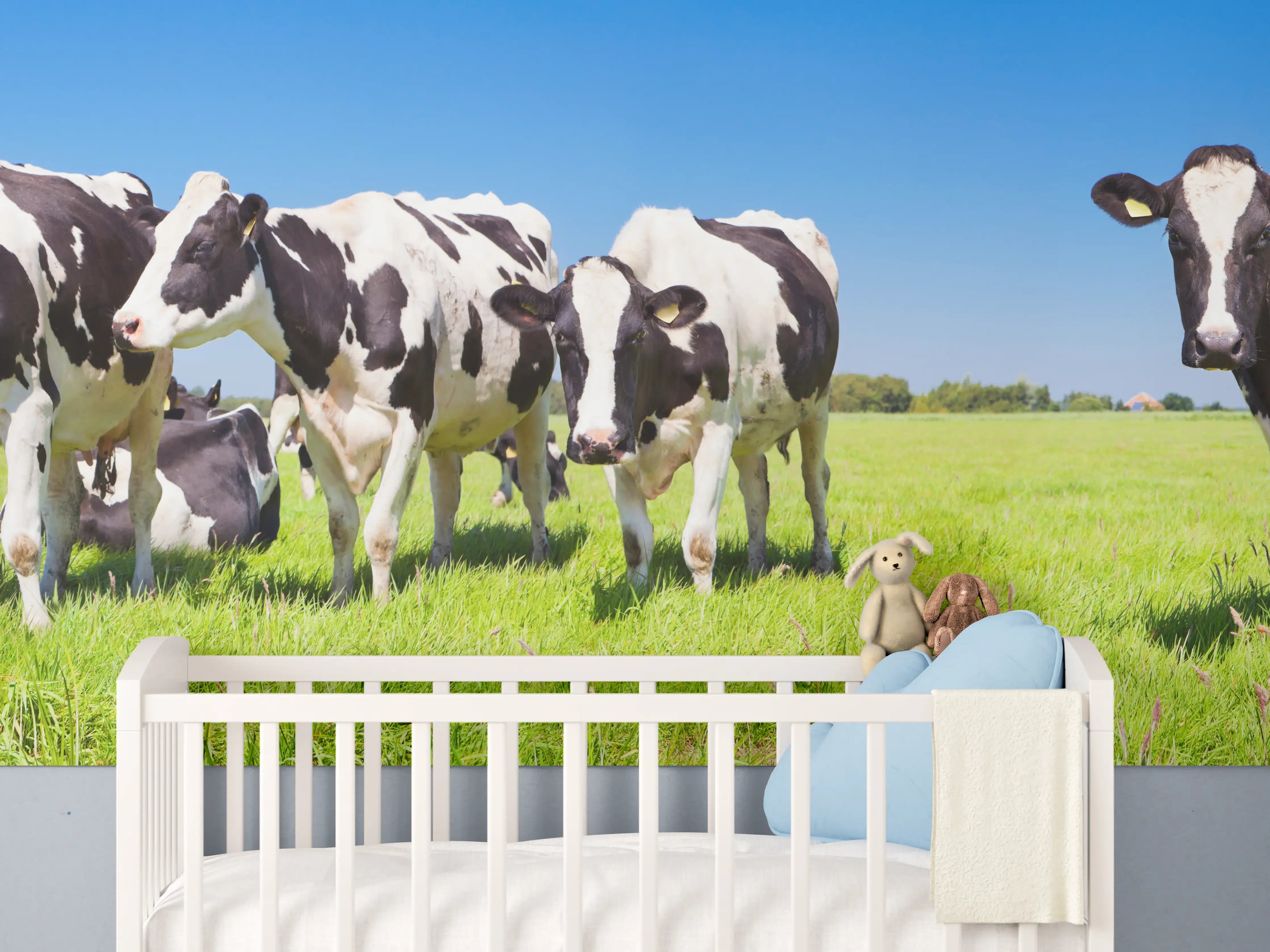 Babyzimmer Wandgestaltung - Schwarz-Weiß-Kühe auf grüner Weide