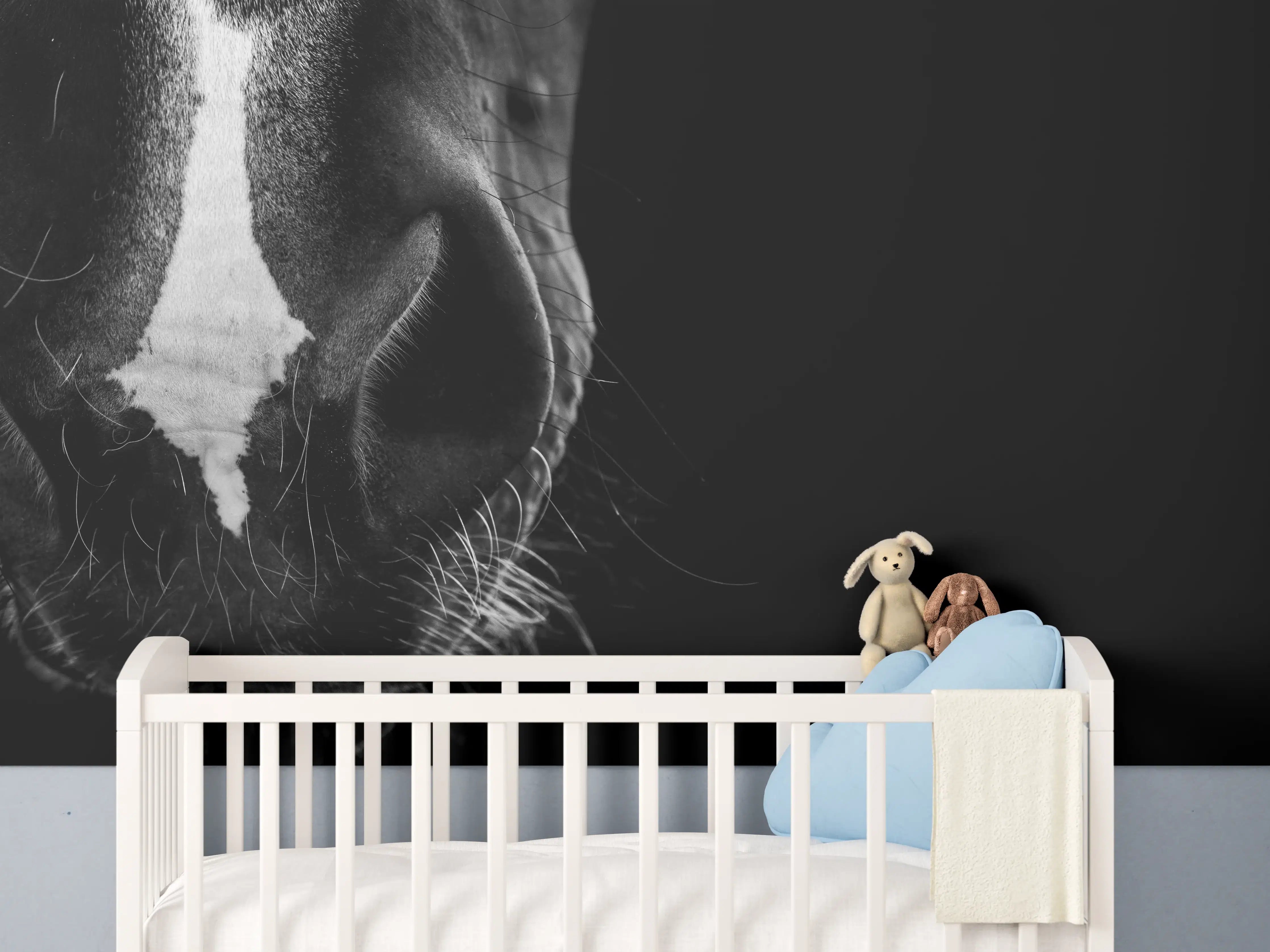 Babyzimmer Wandgestaltung - Schwarz-Weiß Pferd Nahaufnahme