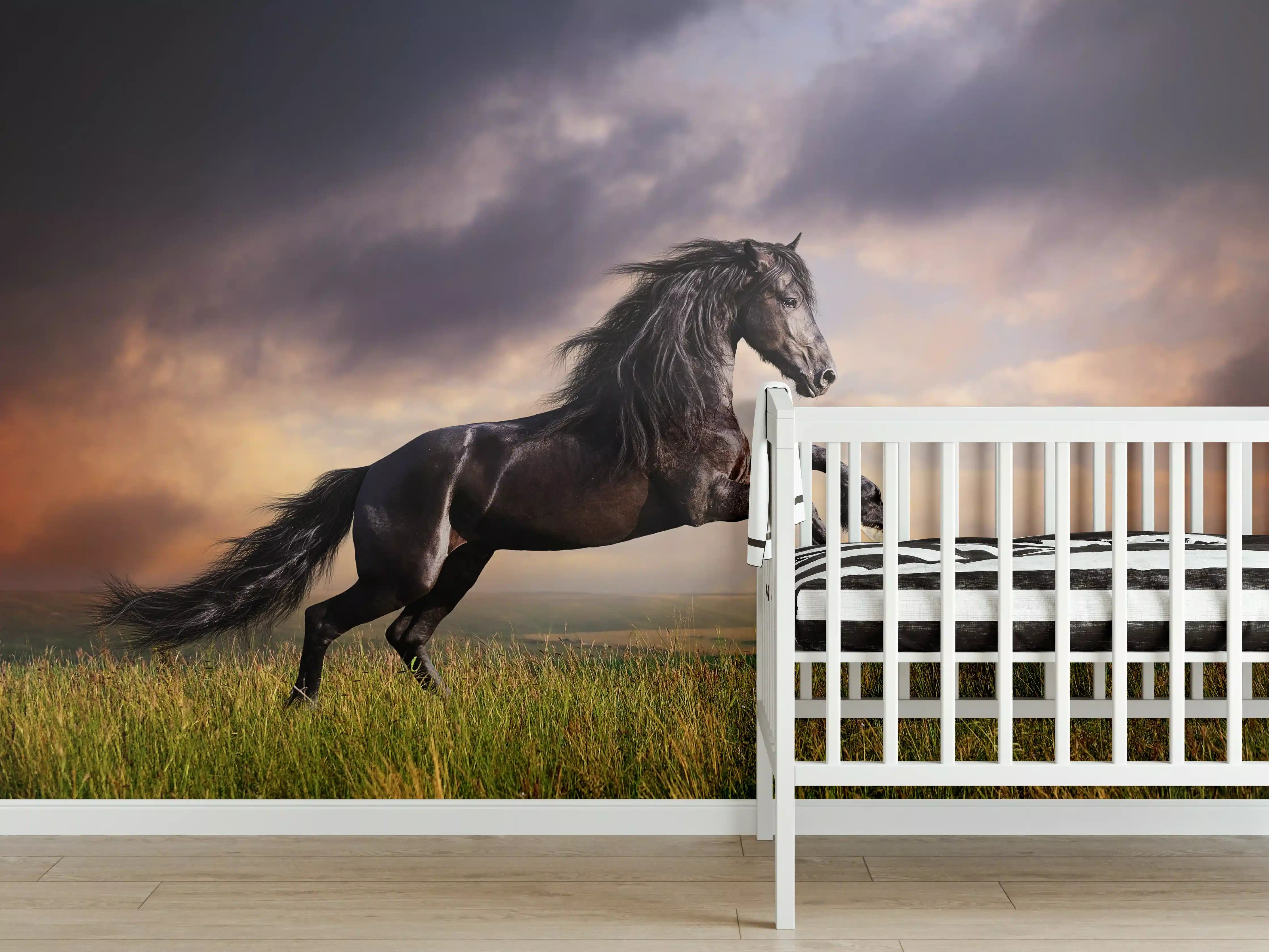 Babyzimmer Wandgestaltung - Schwarzes Friesenpferd Galopp