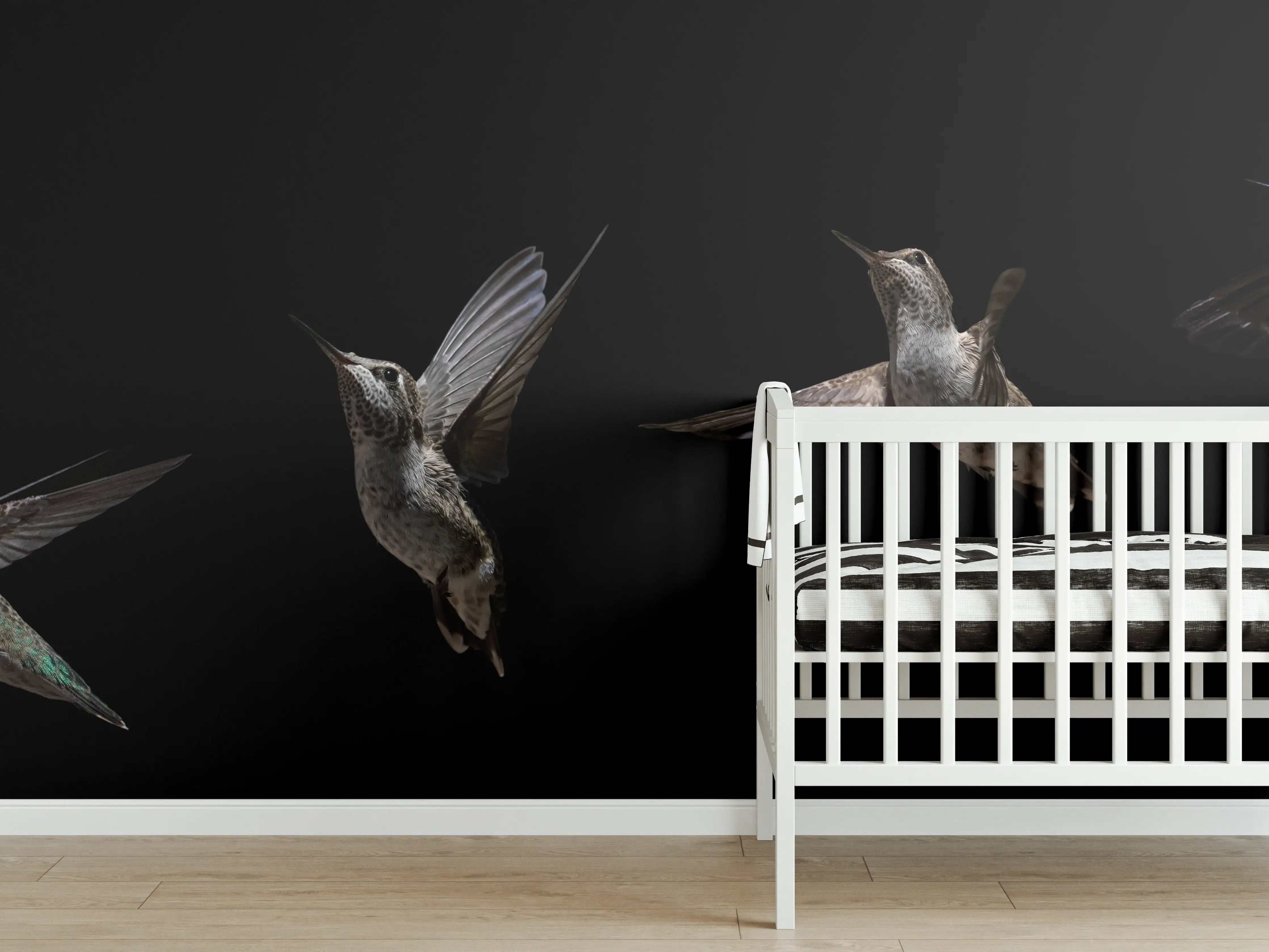 Babyzimmer Wandgestaltung - Schwarzkinnkolibri Vogel mit Schwarzem Hintergrund