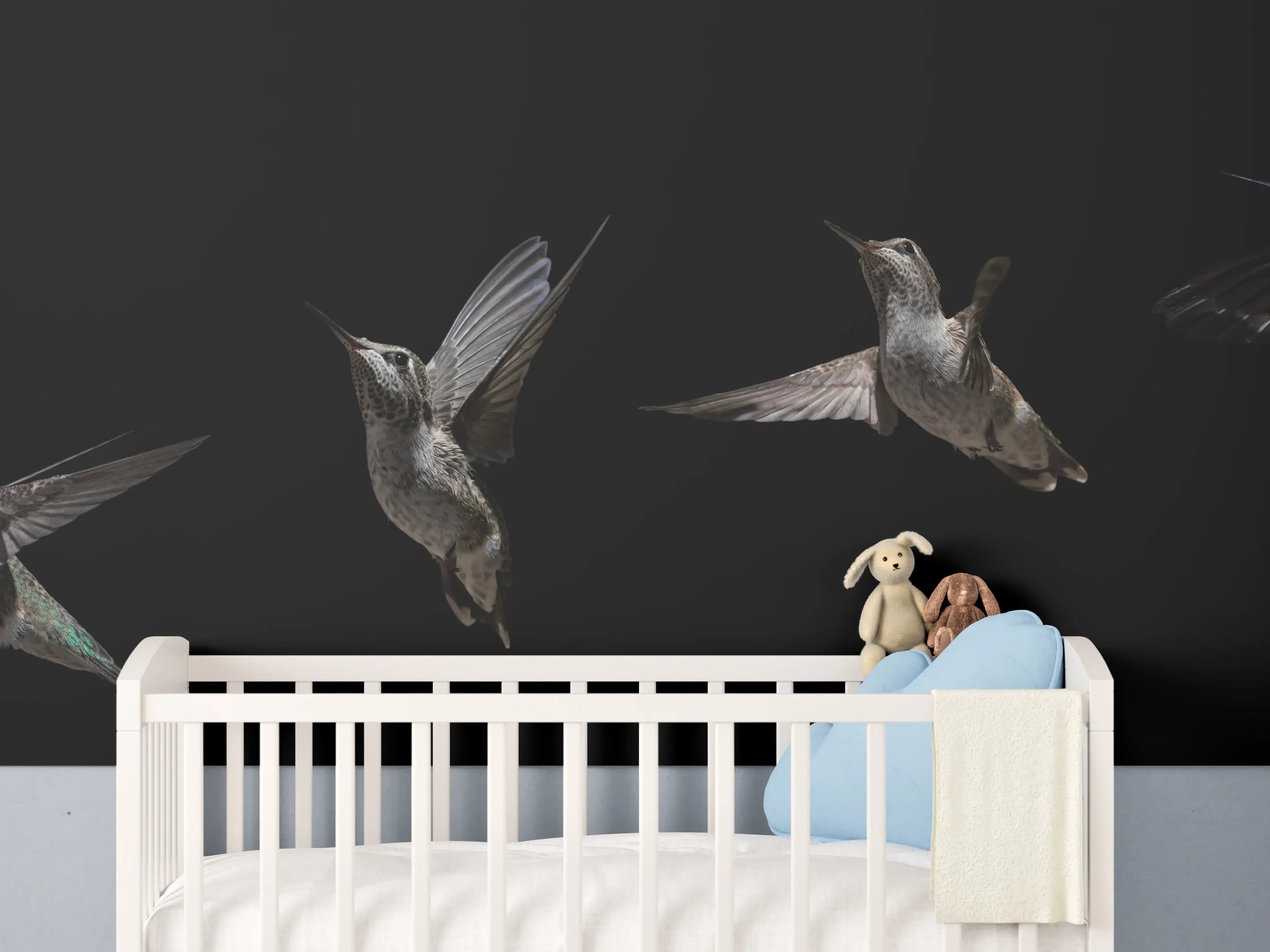 Babyzimmer Wandgestaltung - Schwarzkinnkolibri Vogel mit Schwarzem Hintergrund