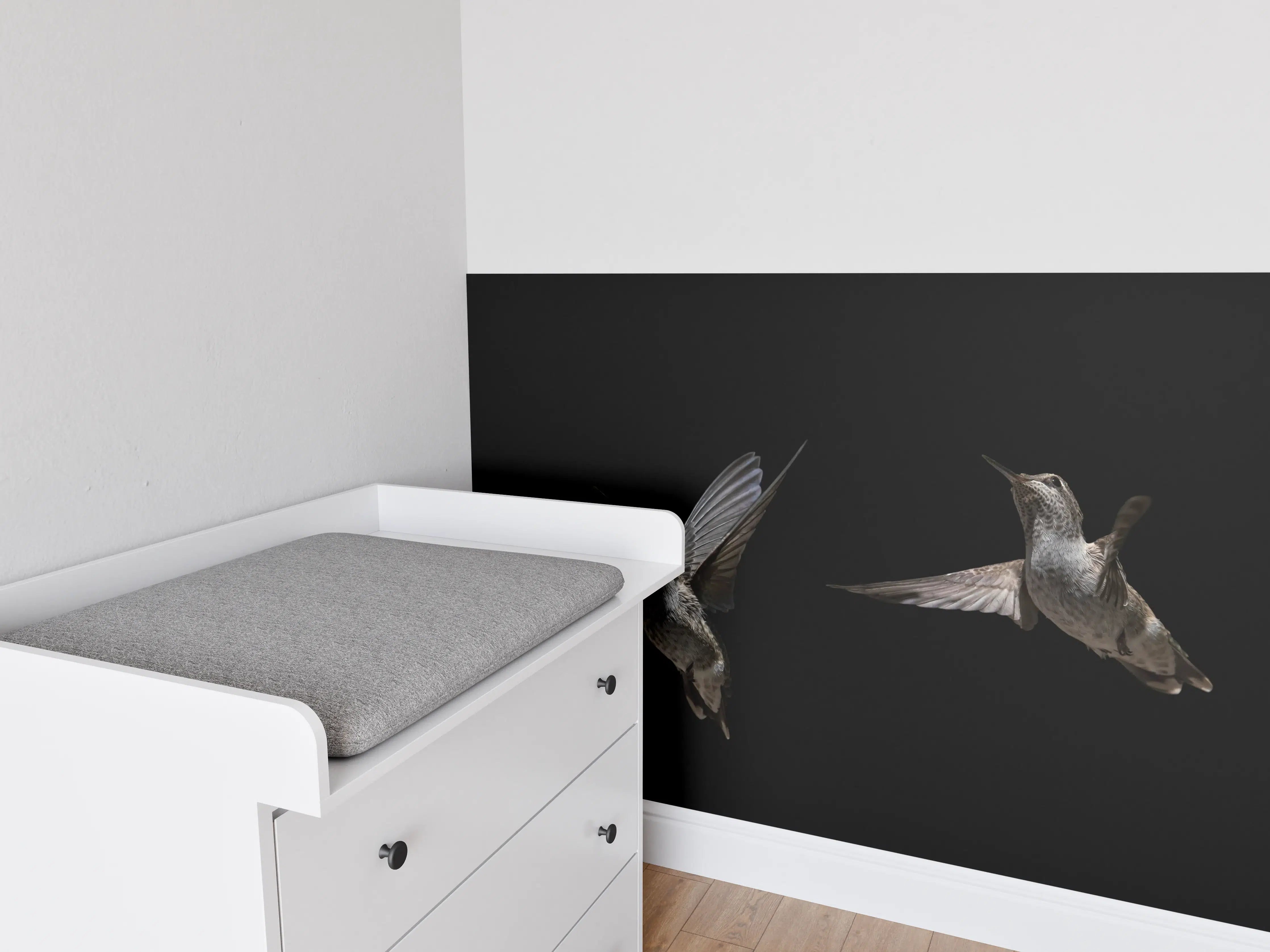 Babyzimmer Wandgestaltung - Schwarzkinnkolibri Vogel mit Schwarzem Hintergrund