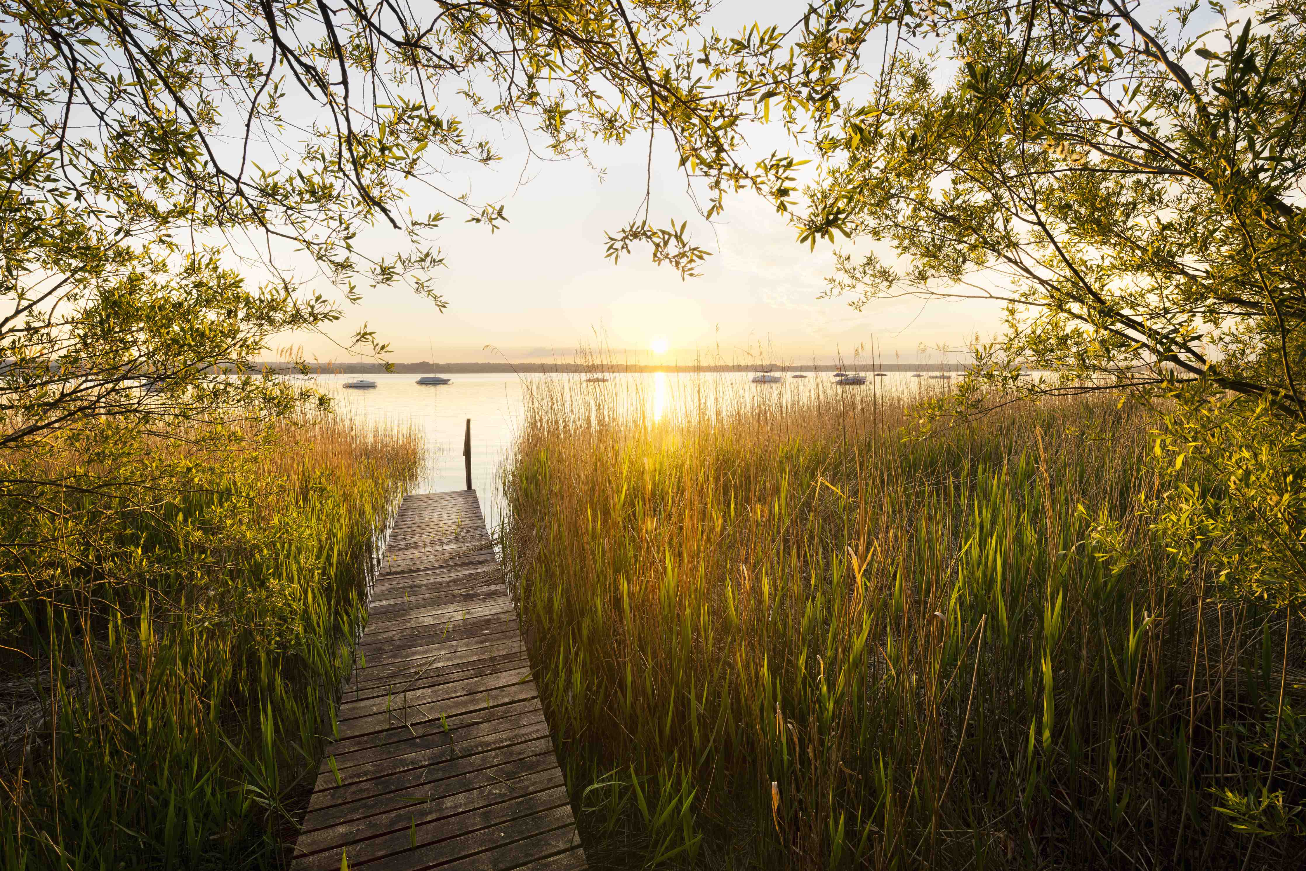 Babyzimmer Wandgestaltung-See in Bayern bei Sonnenuntergang