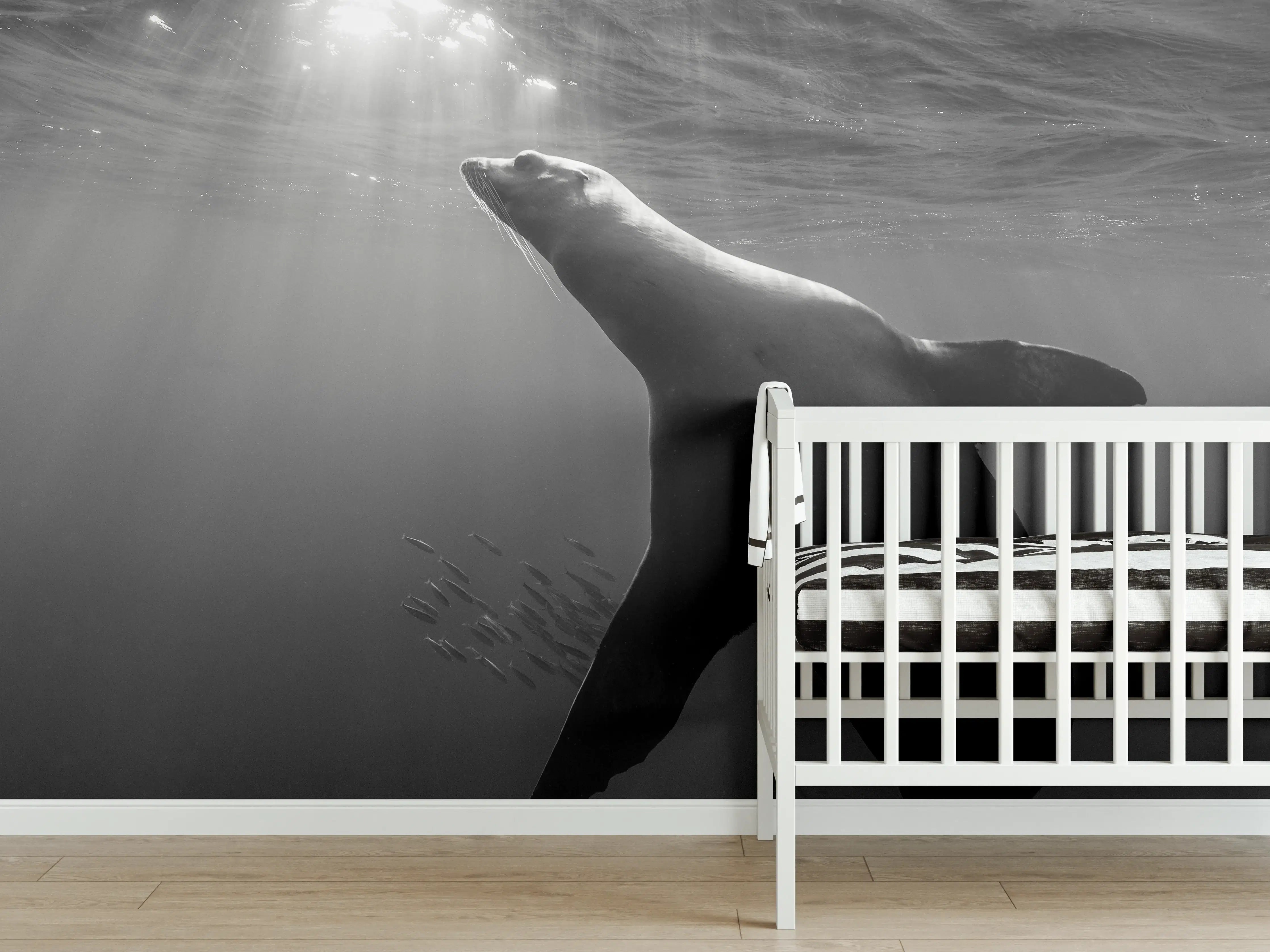 Babyzimmer Wandgestaltung - Seelöwe beim Fressen von Sardinen