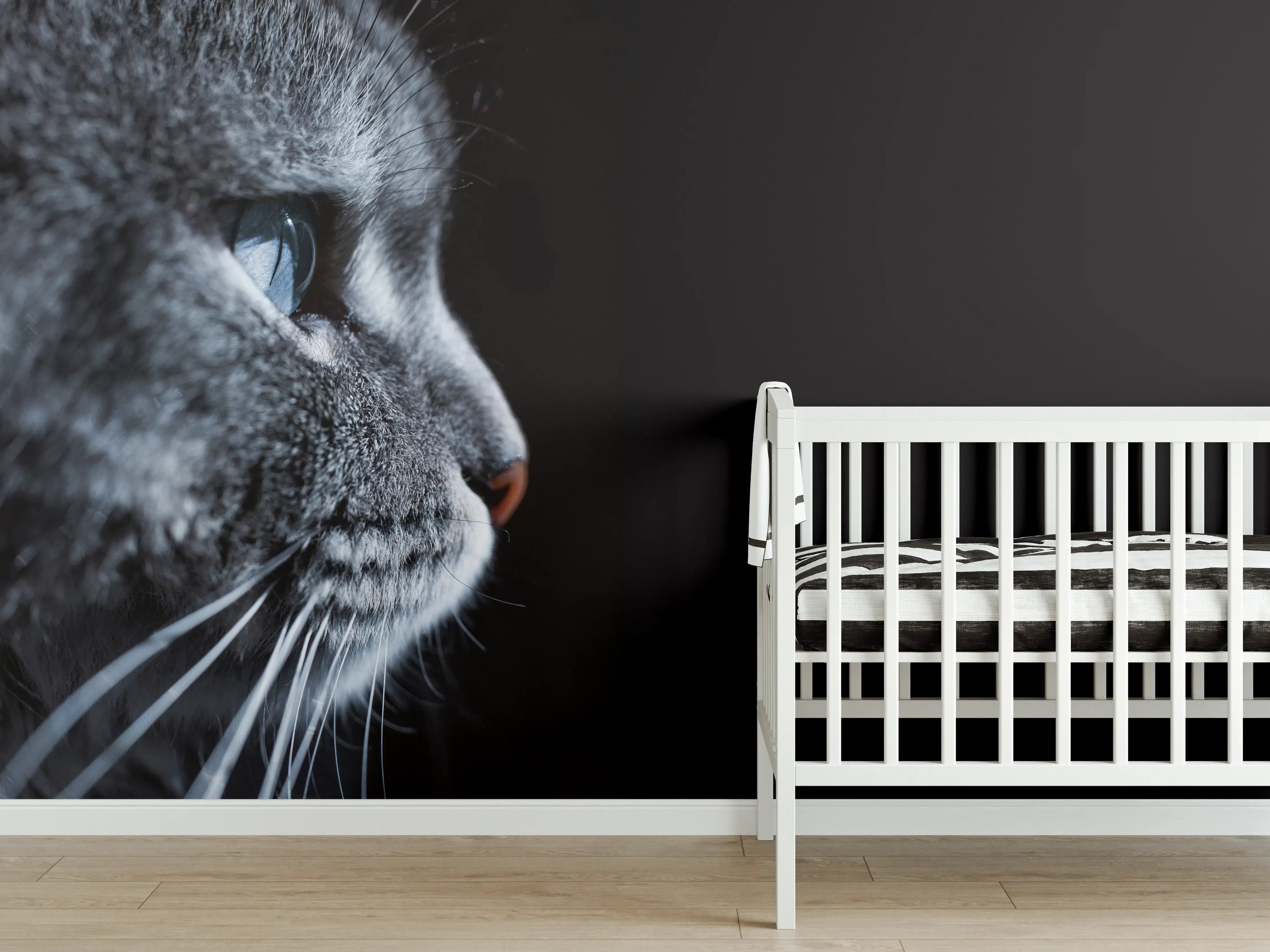 Babyzimmer Wandgestaltung - Seitliches Katzen-Portrait