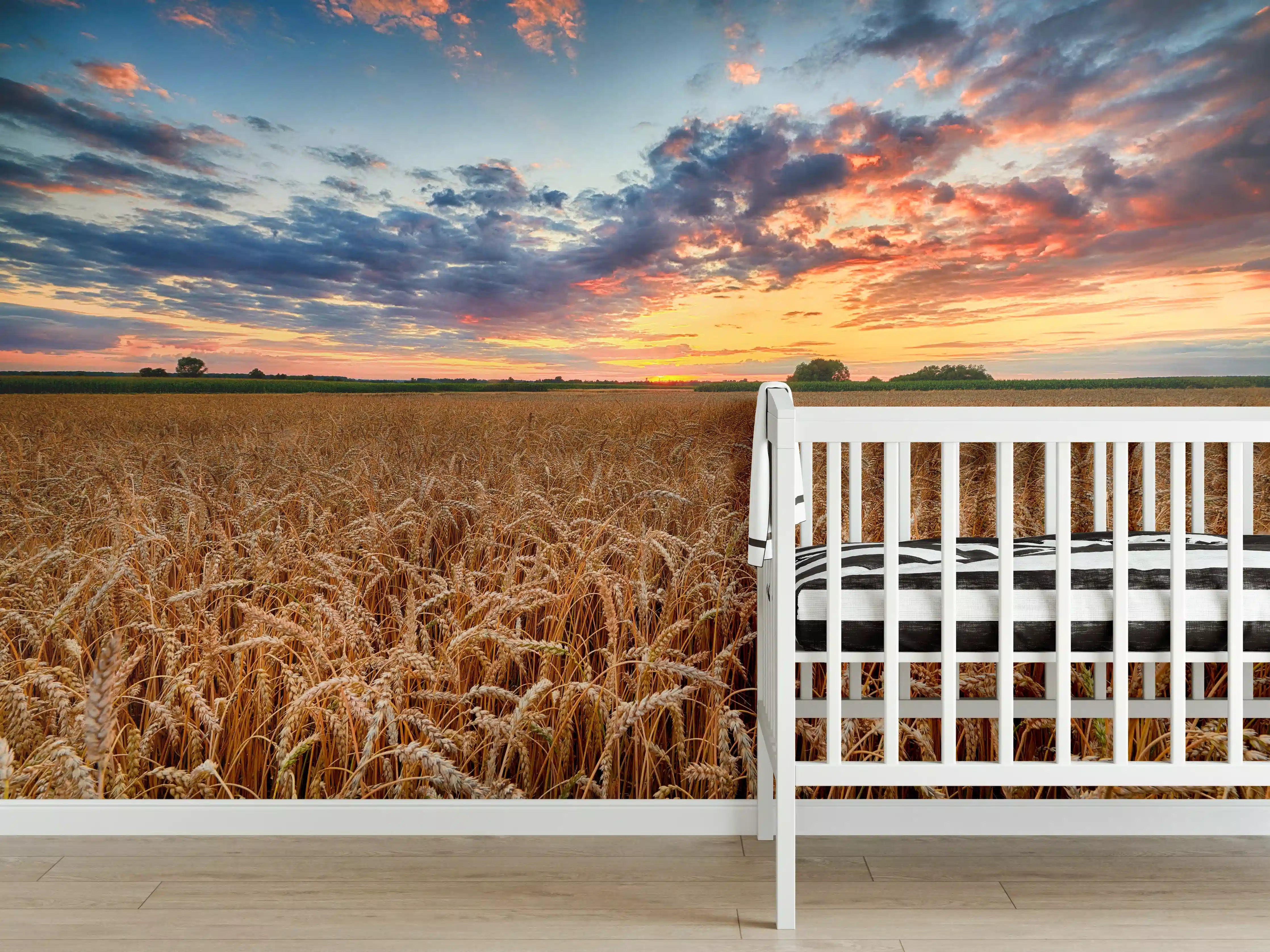 Babyzimmer Wandgestaltung - Sommer-Sonnenaufgang über Weizenfeldern in der Ukraine