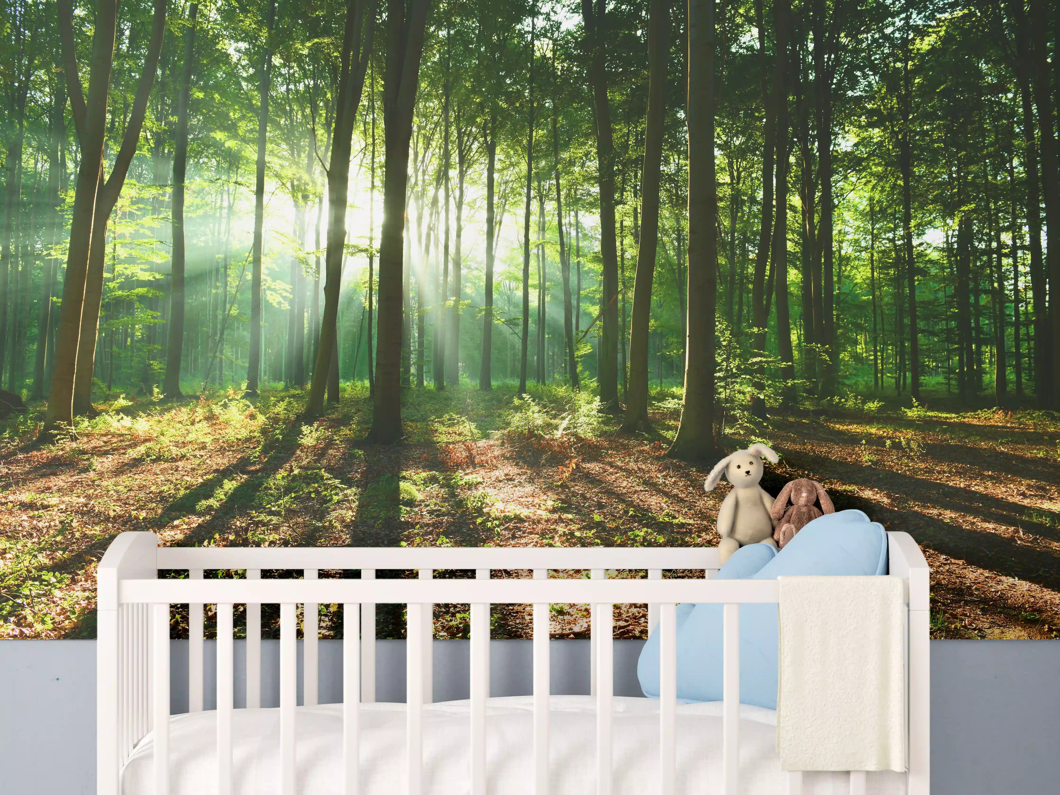 Babyzimmer Wandgestaltung - Sonnenaufgang im Bayrischem Wald