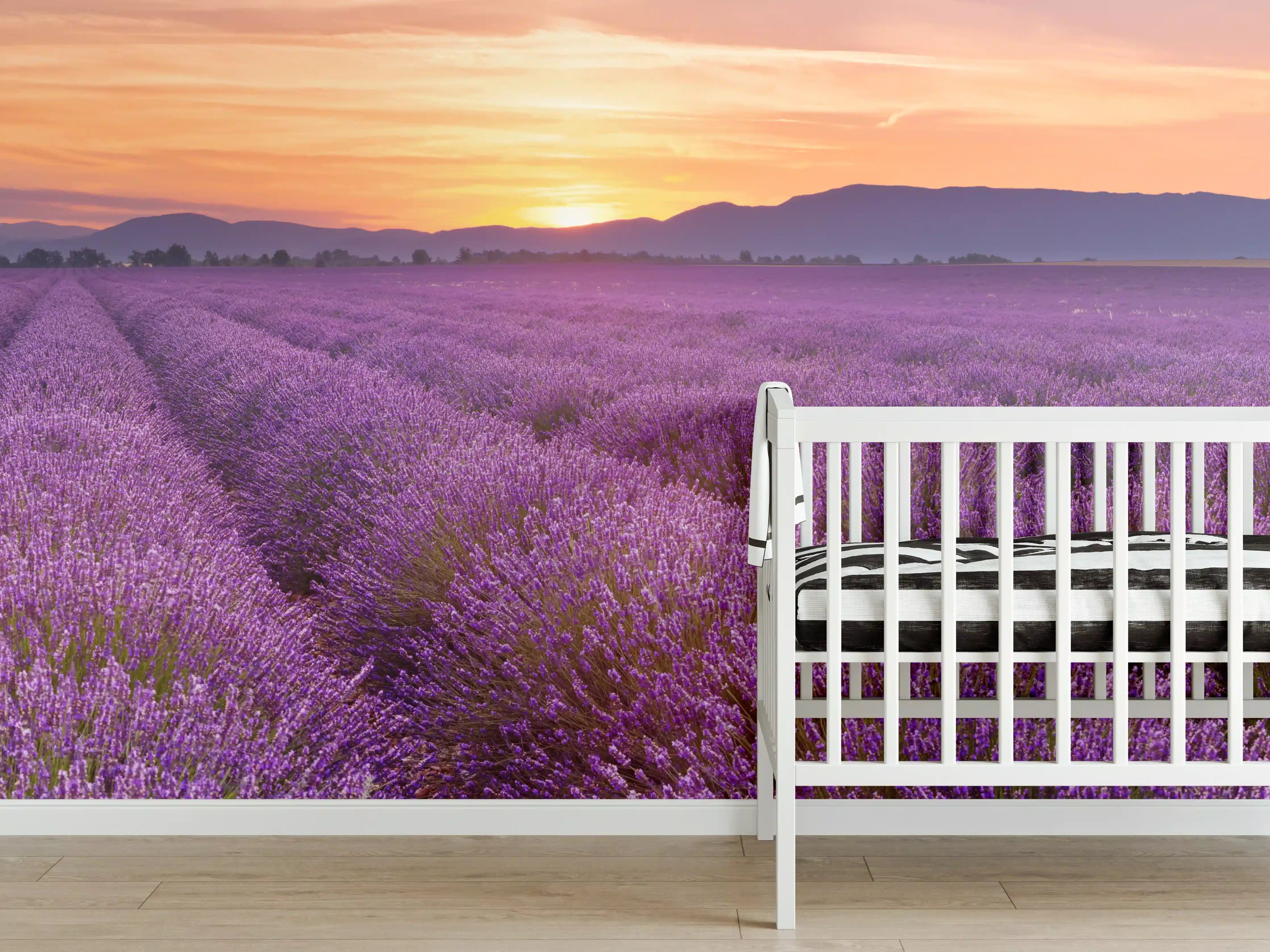 Babyzimmer Wandgestaltung - Sonnenaufgang über Lavendelfelder - Provence