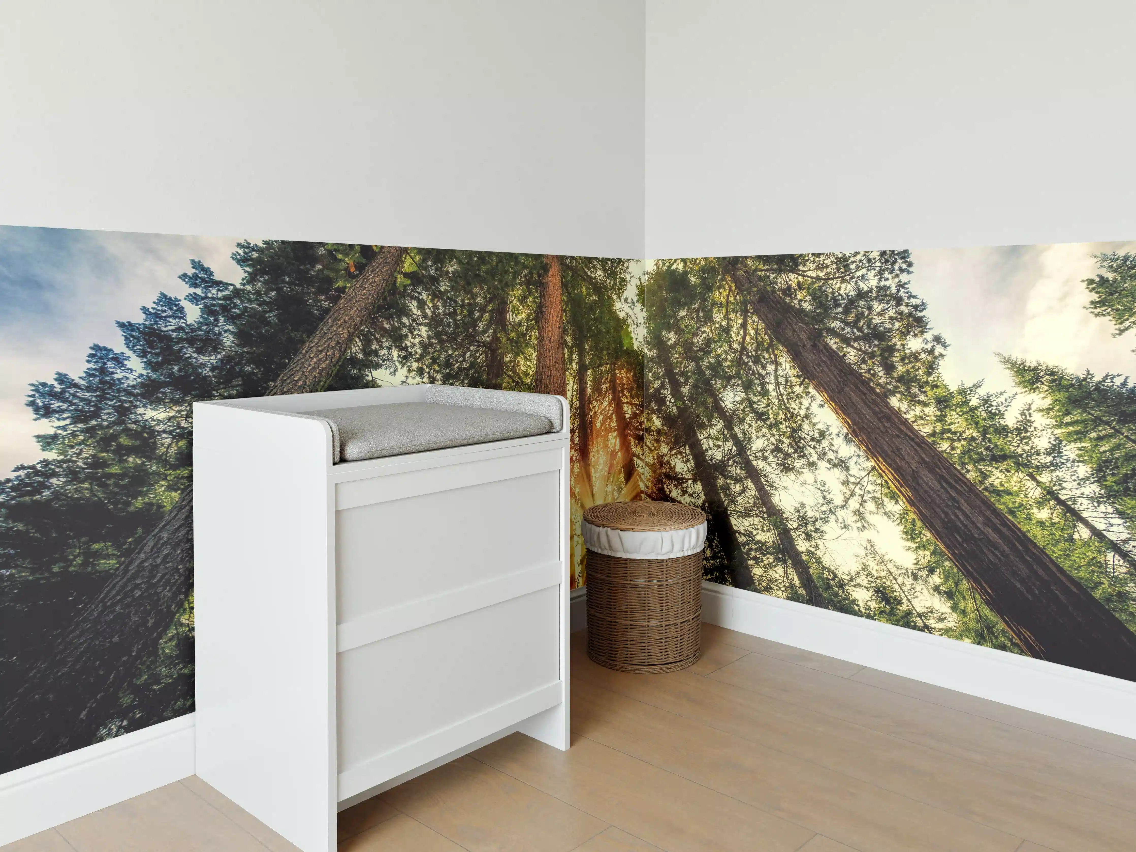 Babyzimmer Wandgestaltung - Sonnenaufgang über Mammutbäumen