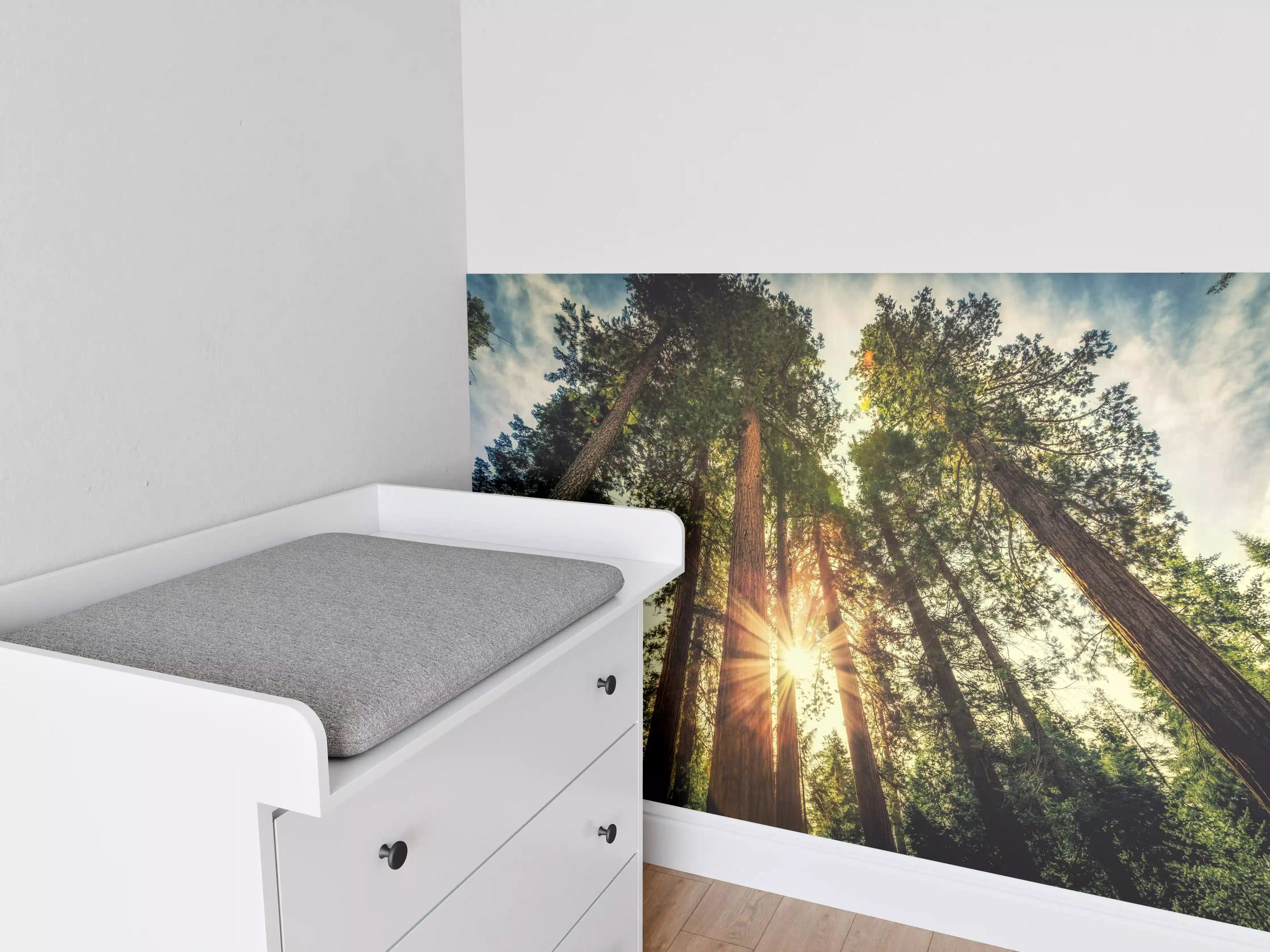 Babyzimmer Wandgestaltung - Sonnenaufgang über Mammutbäumen