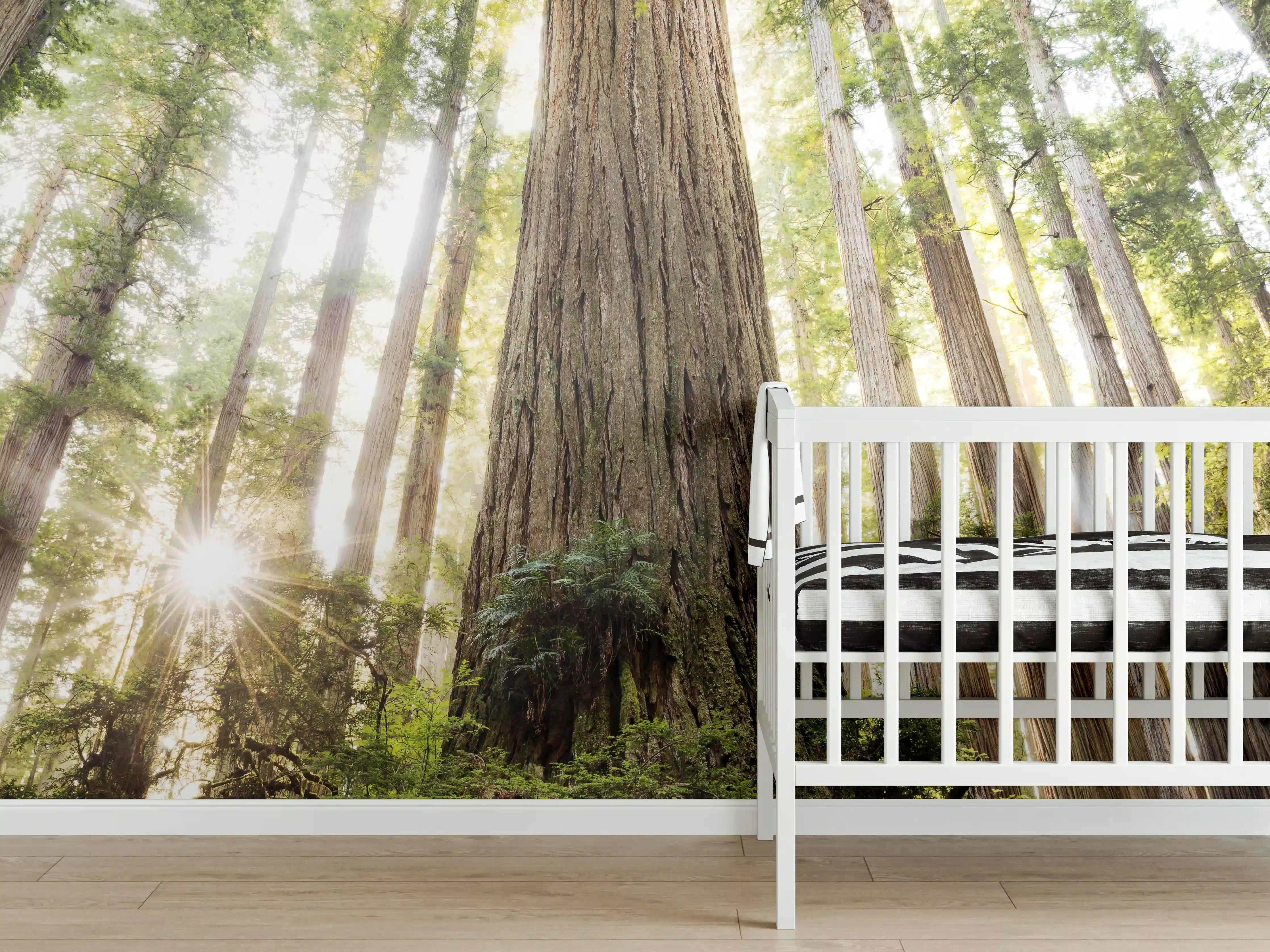 Babyzimmer Wandgestaltung - Sonnenstrahlen im Grünen Wald