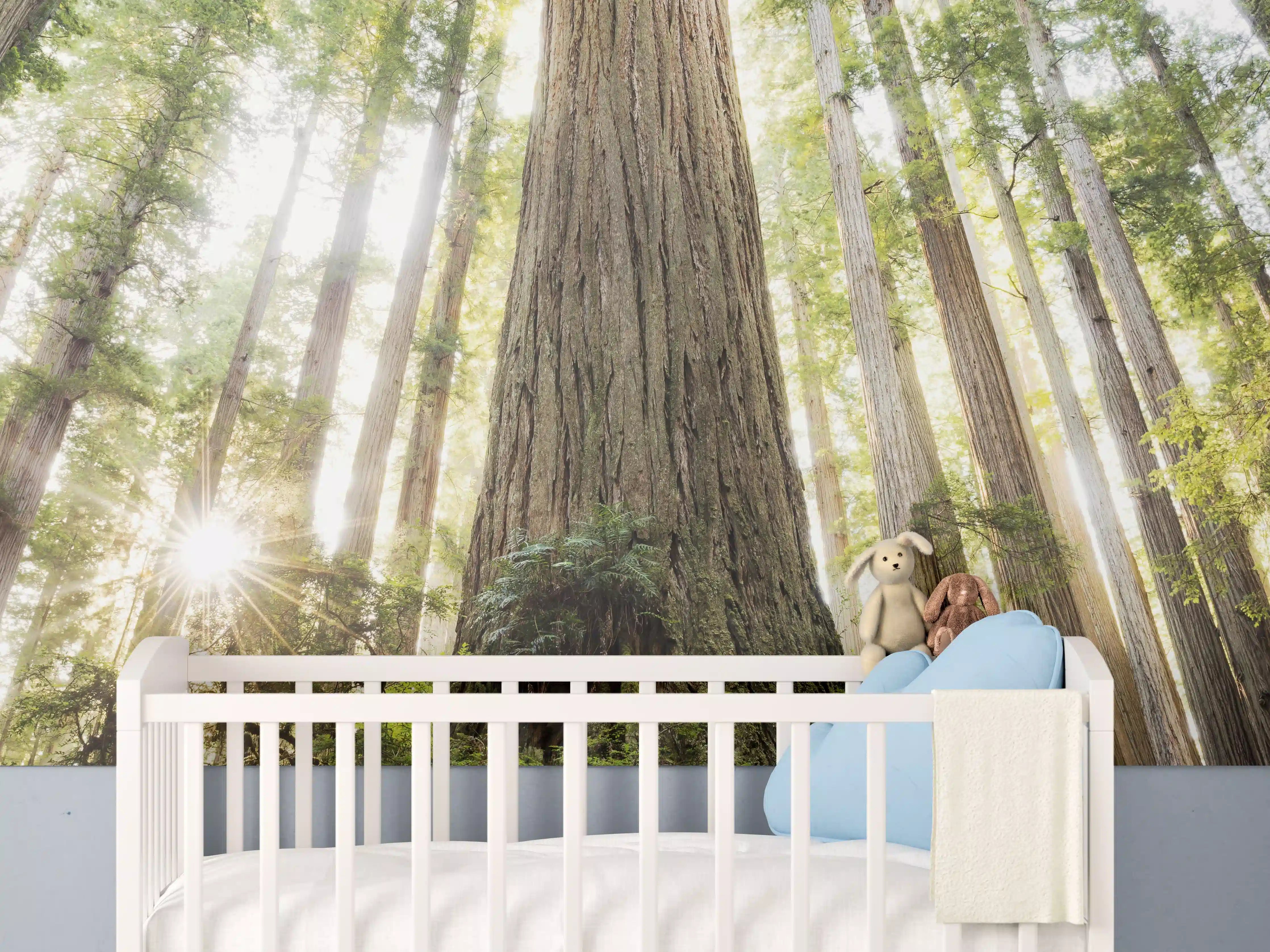 Babyzimmer Wandgestaltung - Sonnenstrahlen im Grünen Wald