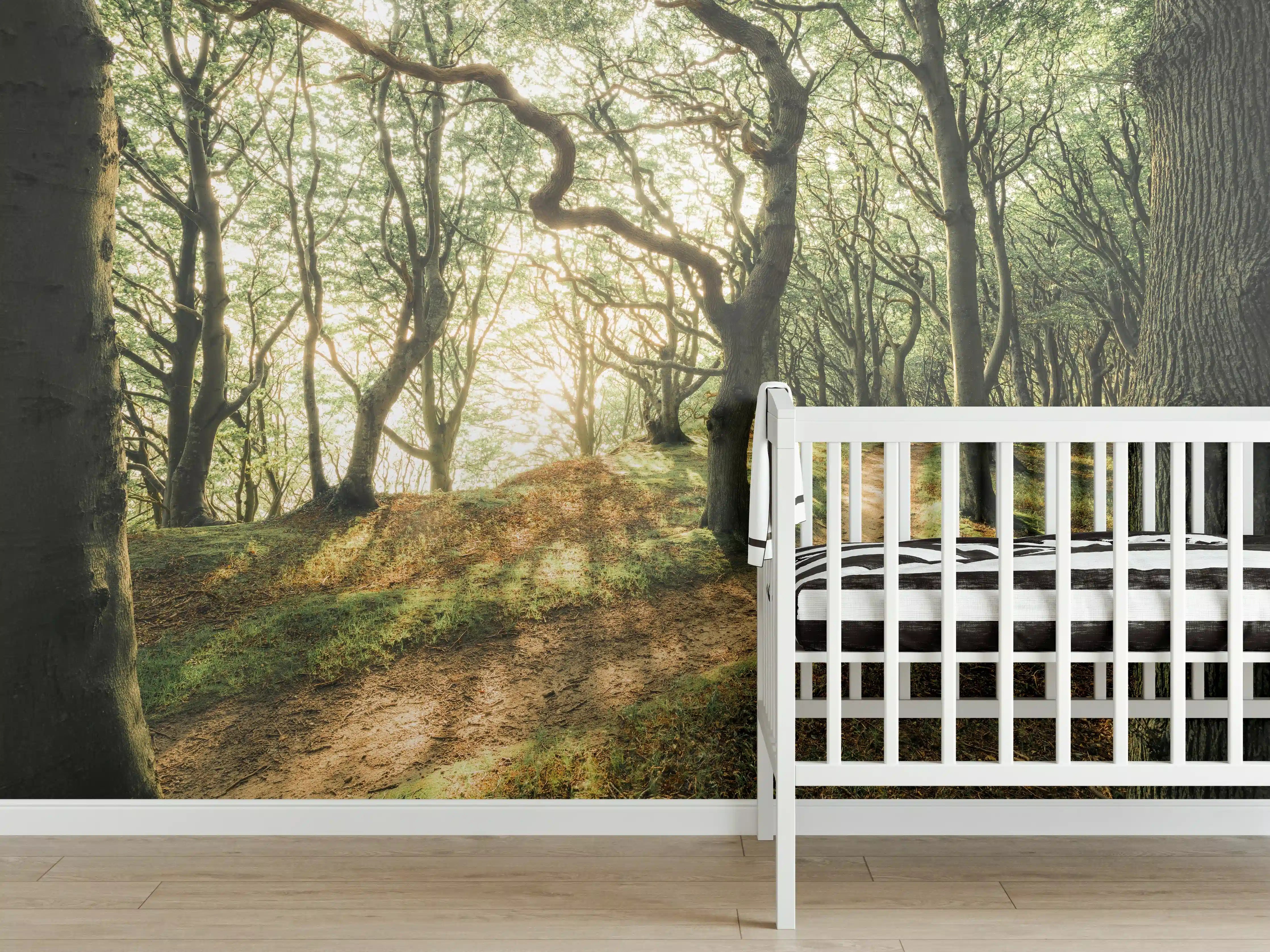 Babyzimmer Wandgestaltung - Sonnenstrahlen im Waldweg