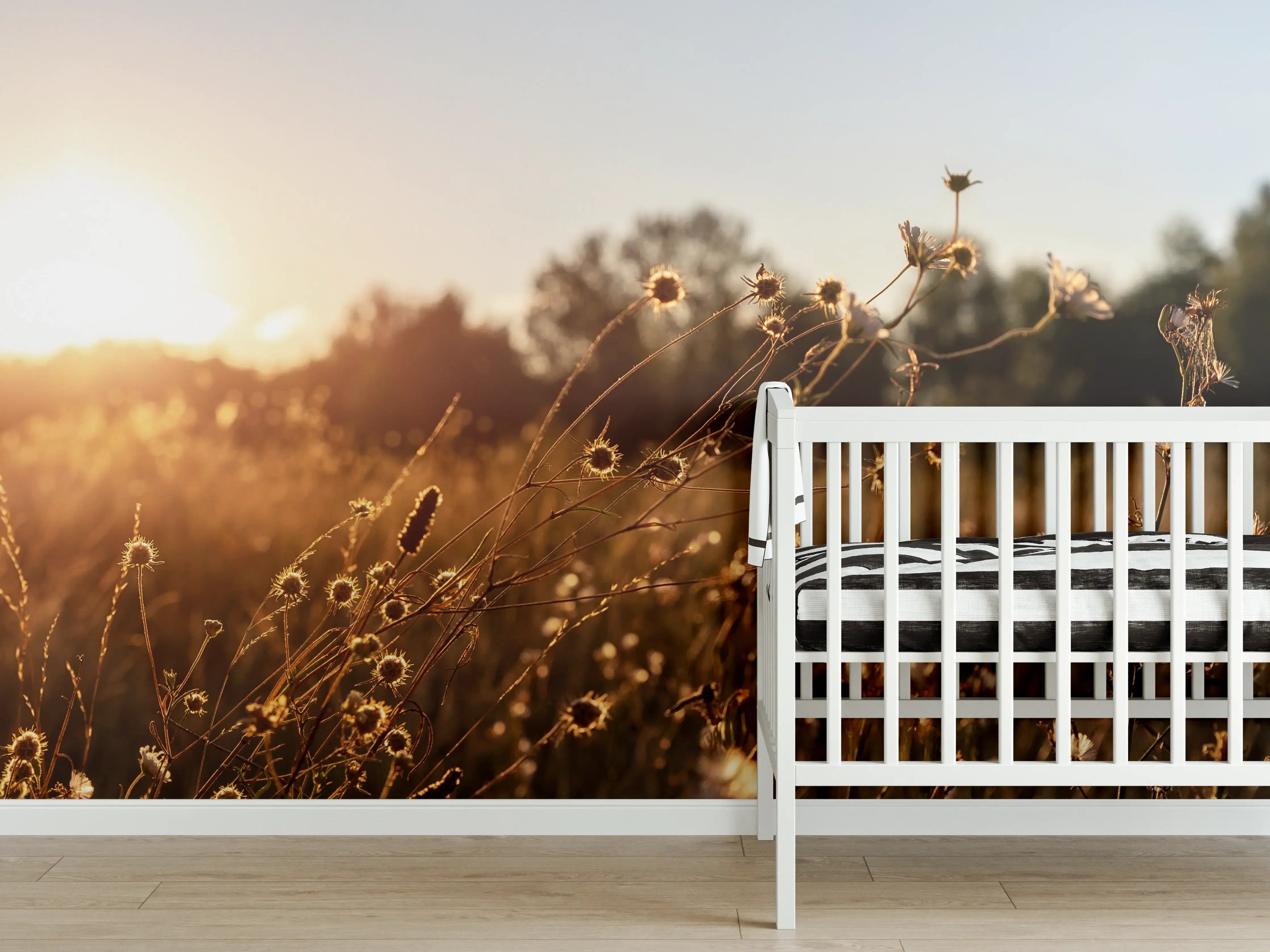 Babyzimmer Wandgestaltung - Sonnenuntergang über der Feldflora