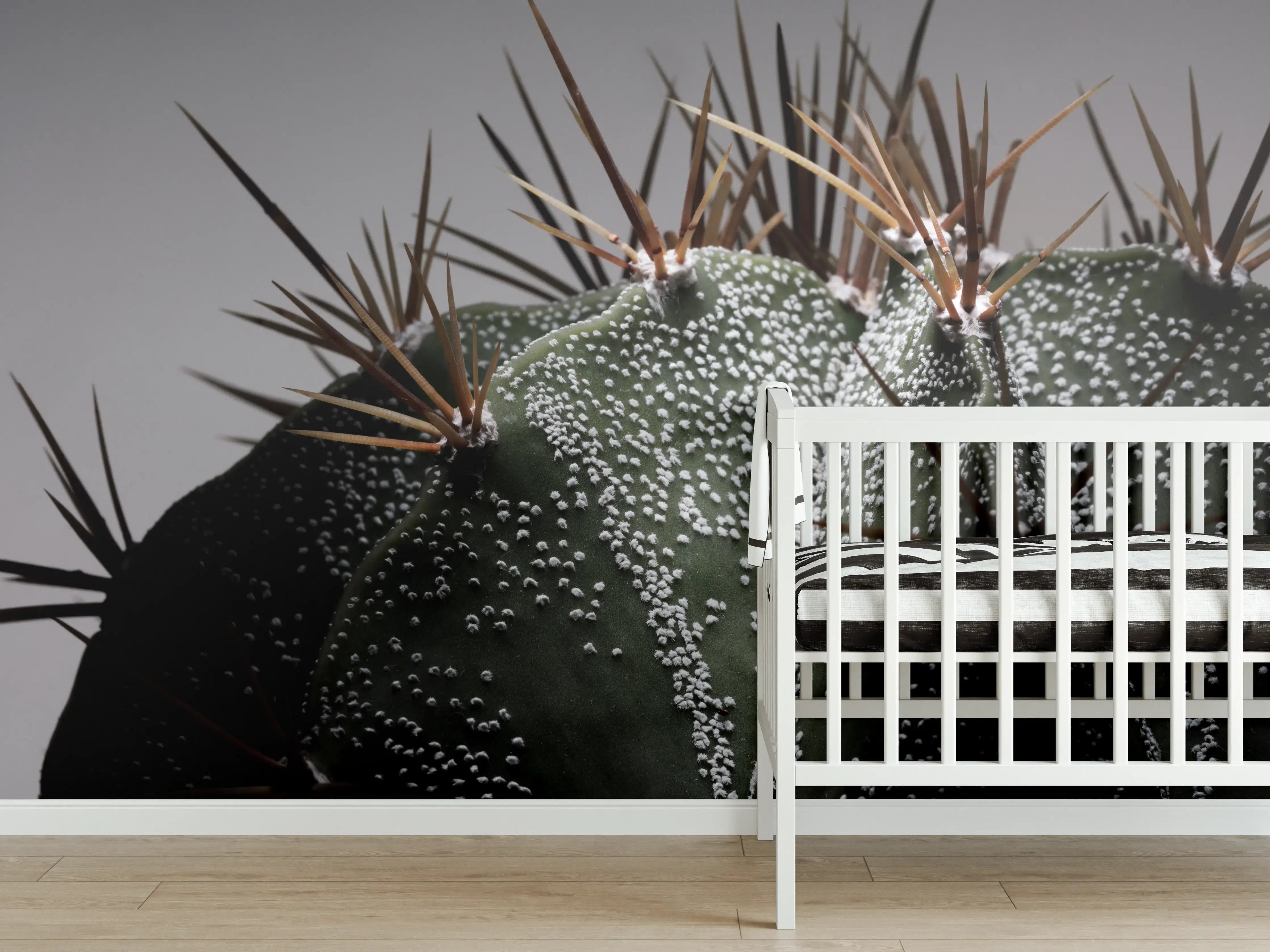 Babyzimmer Wandgestaltung - Stacheliger Sternenkaktus