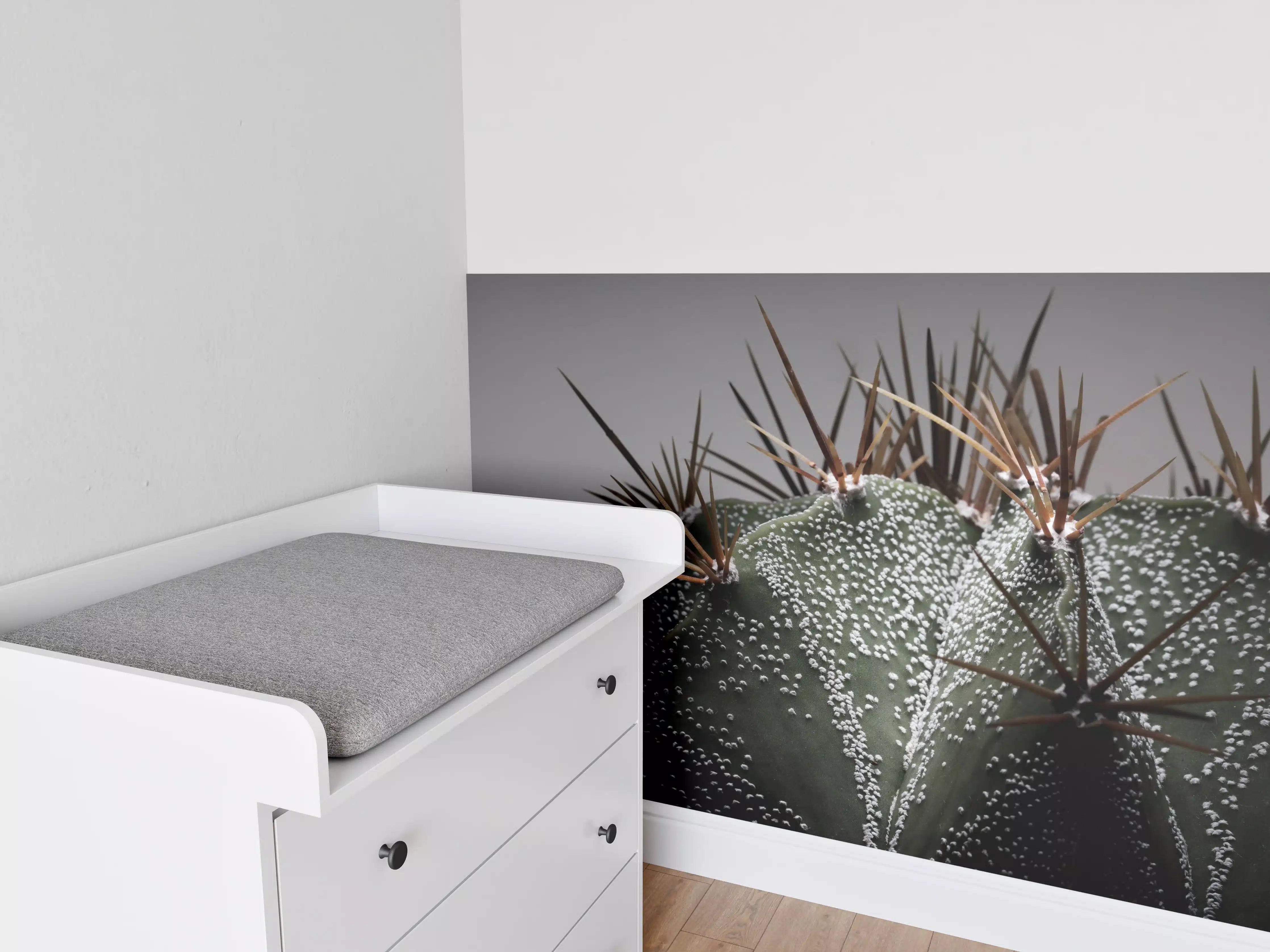 Babyzimmer Wandgestaltung - Stacheliger Sternenkaktus