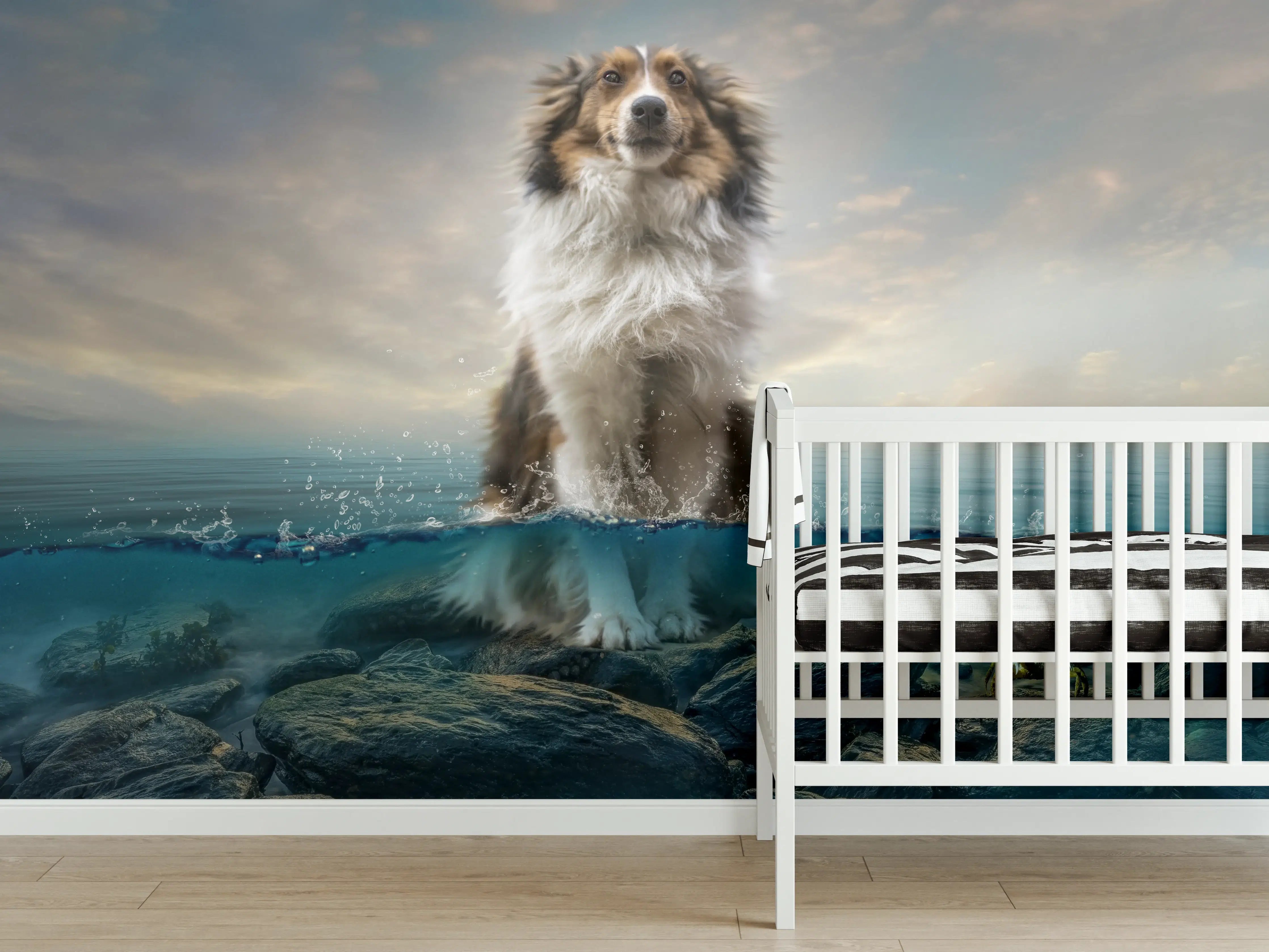 Babyzimmer Wandgestaltung - Stolzer Shetland-Schäferhund im Wasser