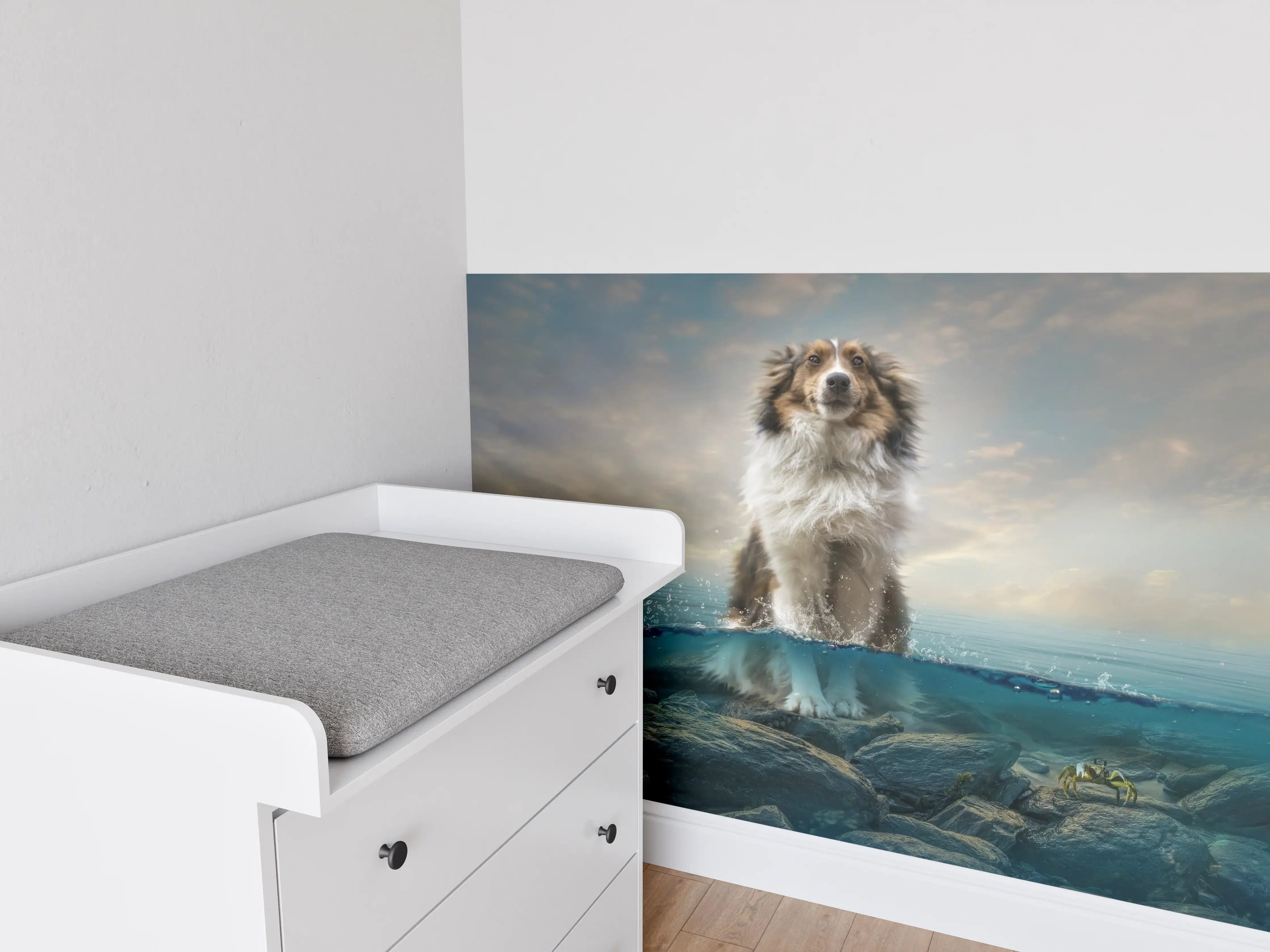 Babyzimmer Wandgestaltung - Stolzer Shetland-Schäferhund im Wasser