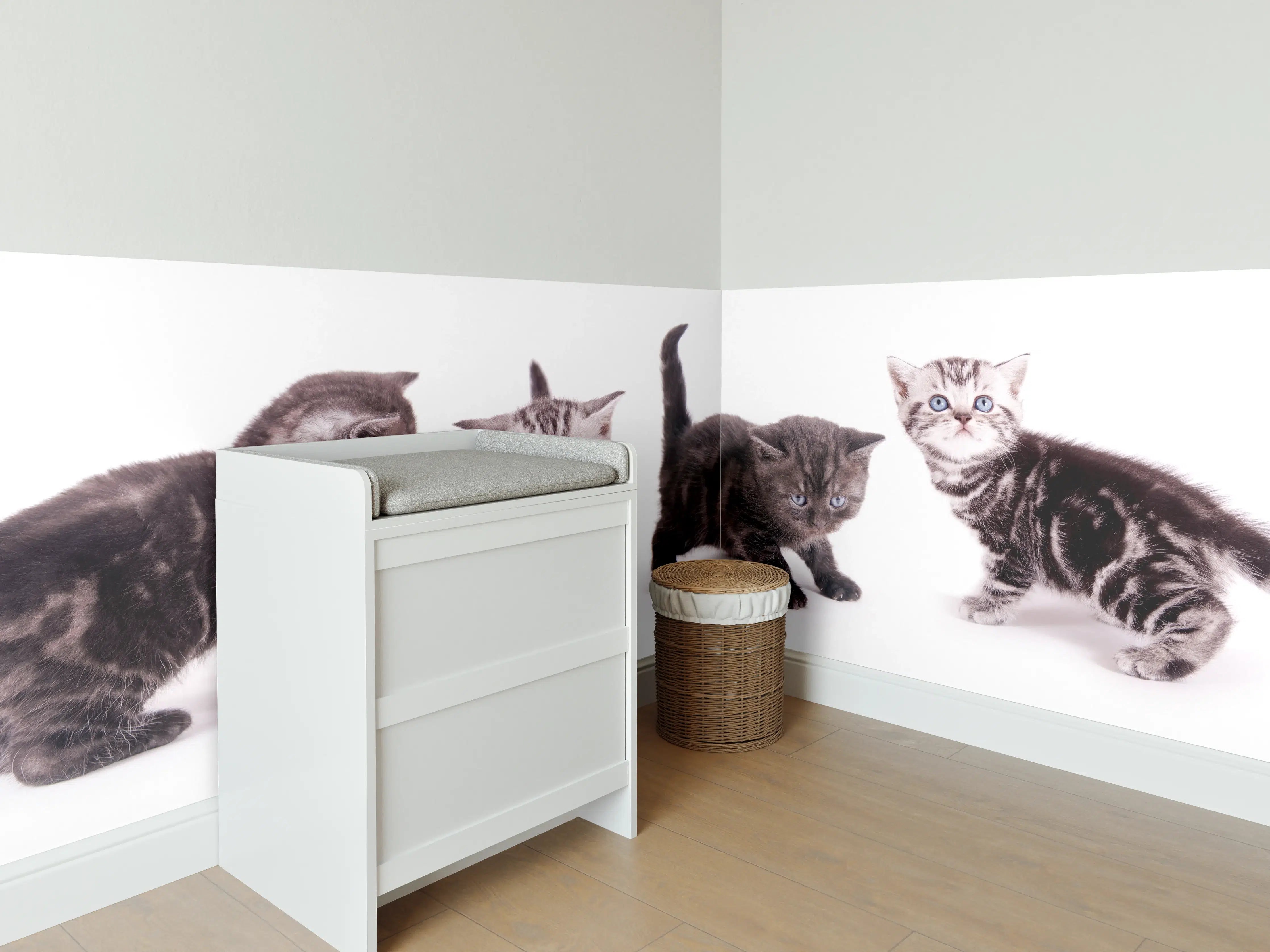 Babyzimmer Wandgestaltung - Süße Britisch Kurzhaar Kätzchen