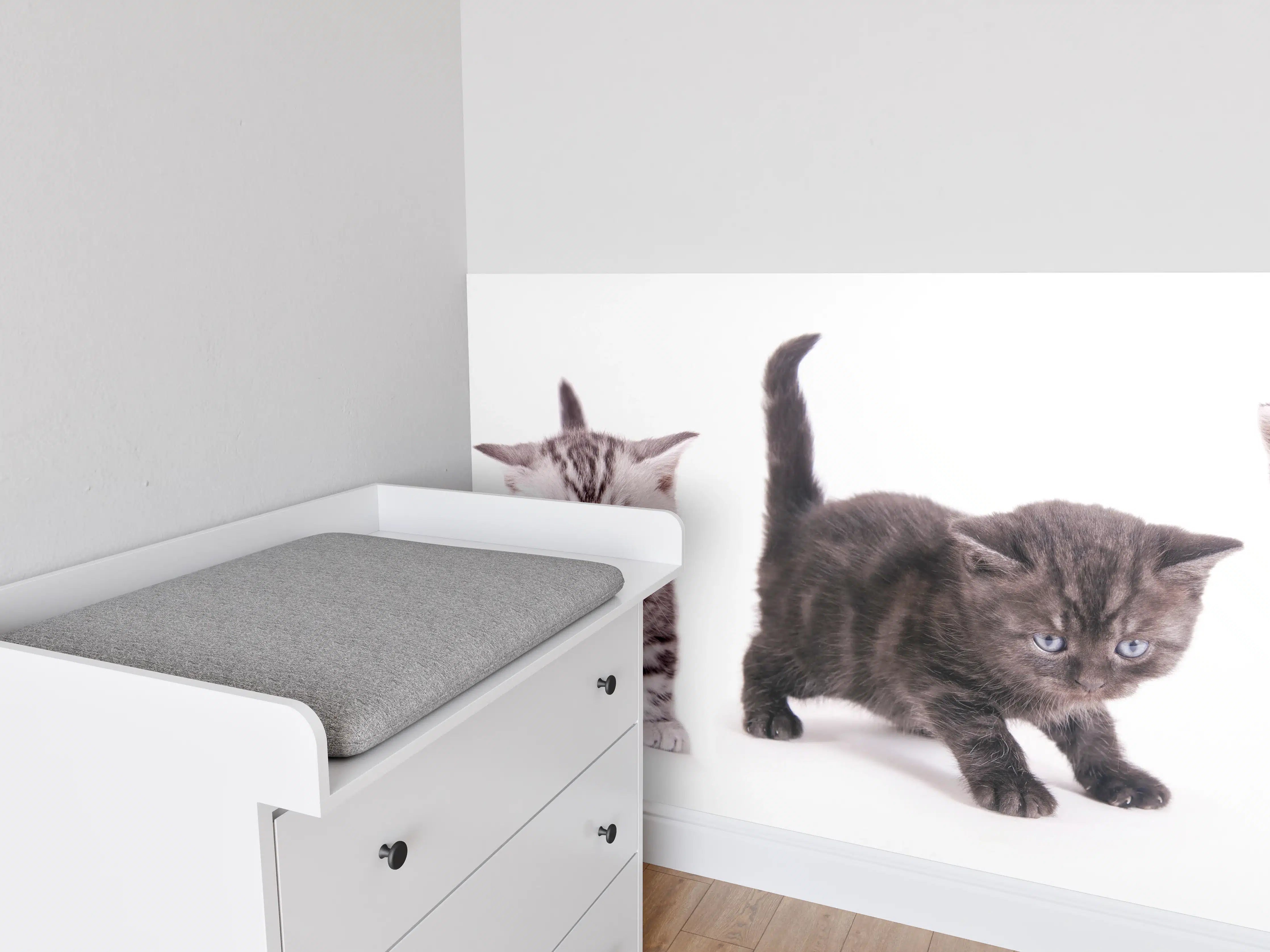 Babyzimmer Wandgestaltung - Süße Britisch Kurzhaar Kätzchen
