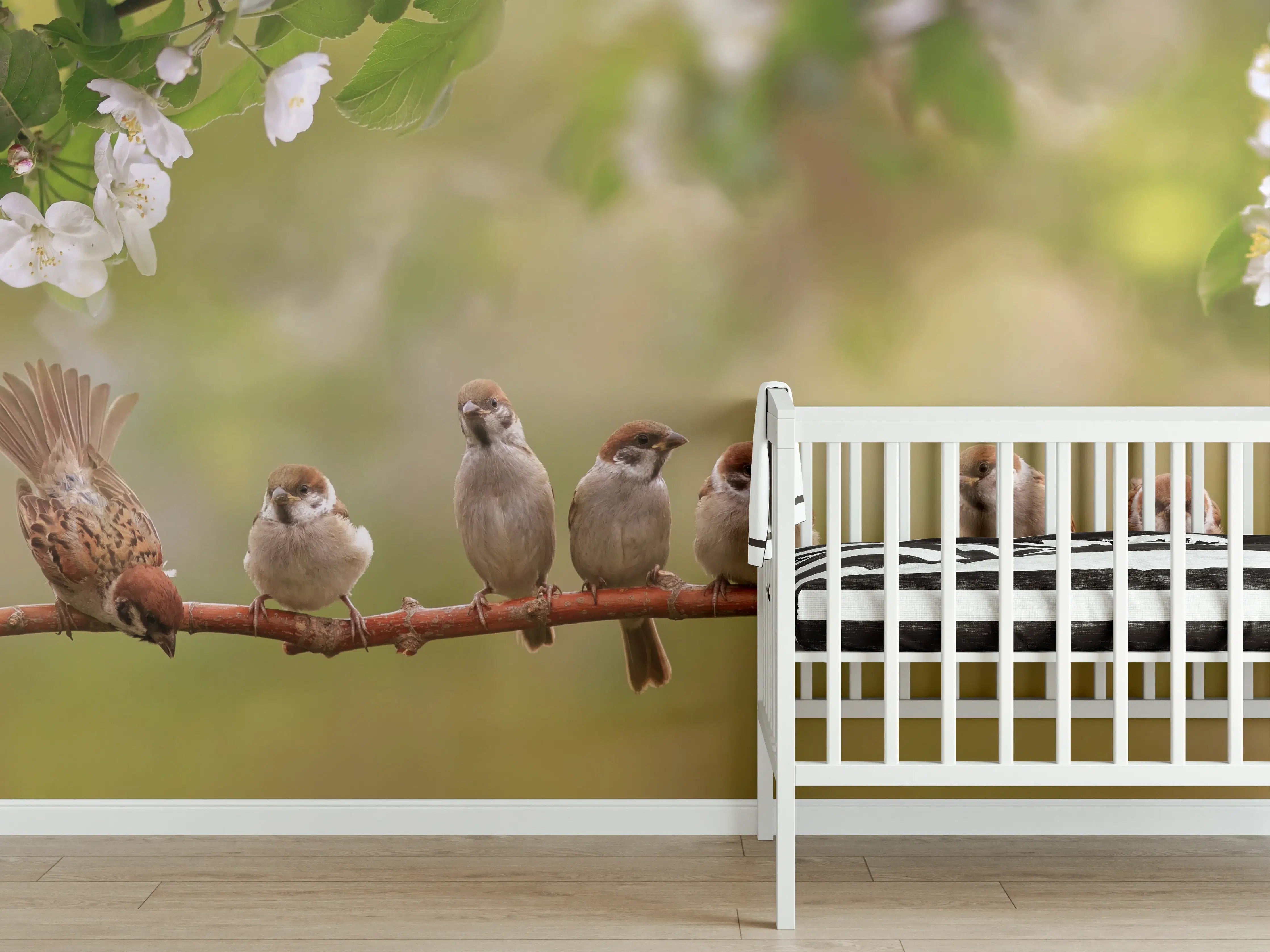 Babyzimmer Wandgestaltung - Süße Sperlingsfamilie auf Zweig in Frühlingssonne