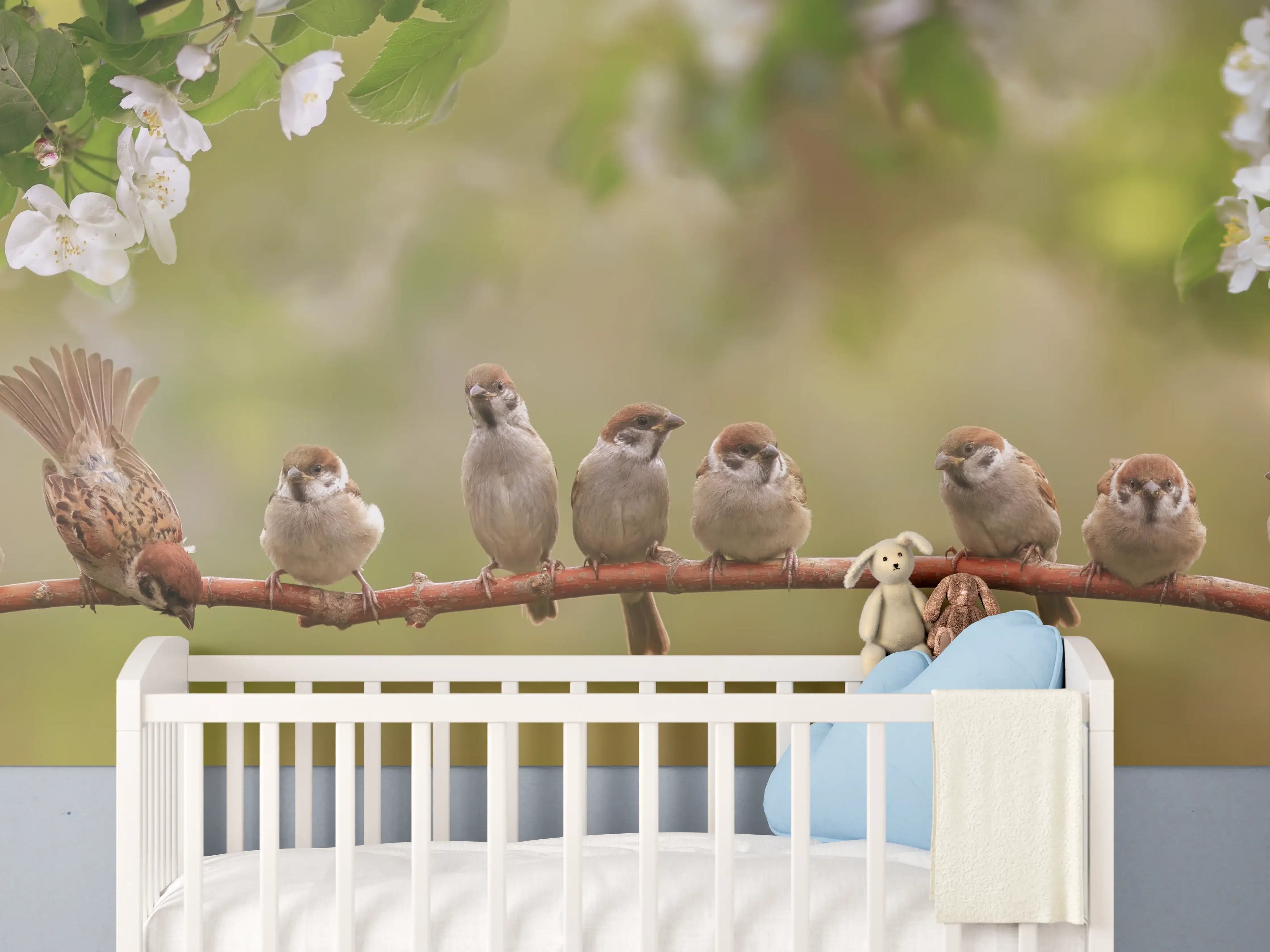 Babyzimmer Wandgestaltung - Süße Sperlingsfamilie auf Zweig in Frühlingssonne