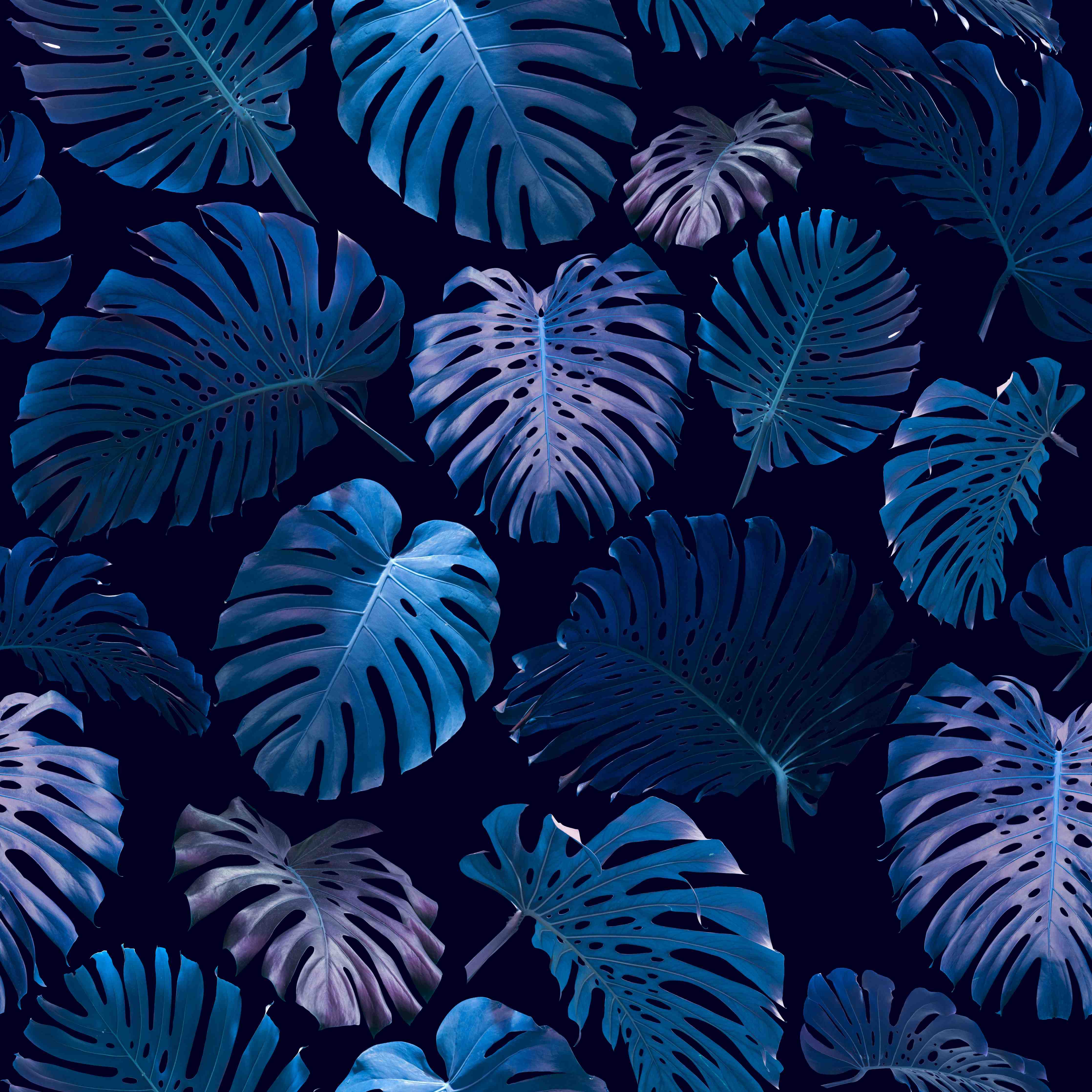 Babyzimmer Wandgestaltung-Tropische Monstera-Blätter in Blau