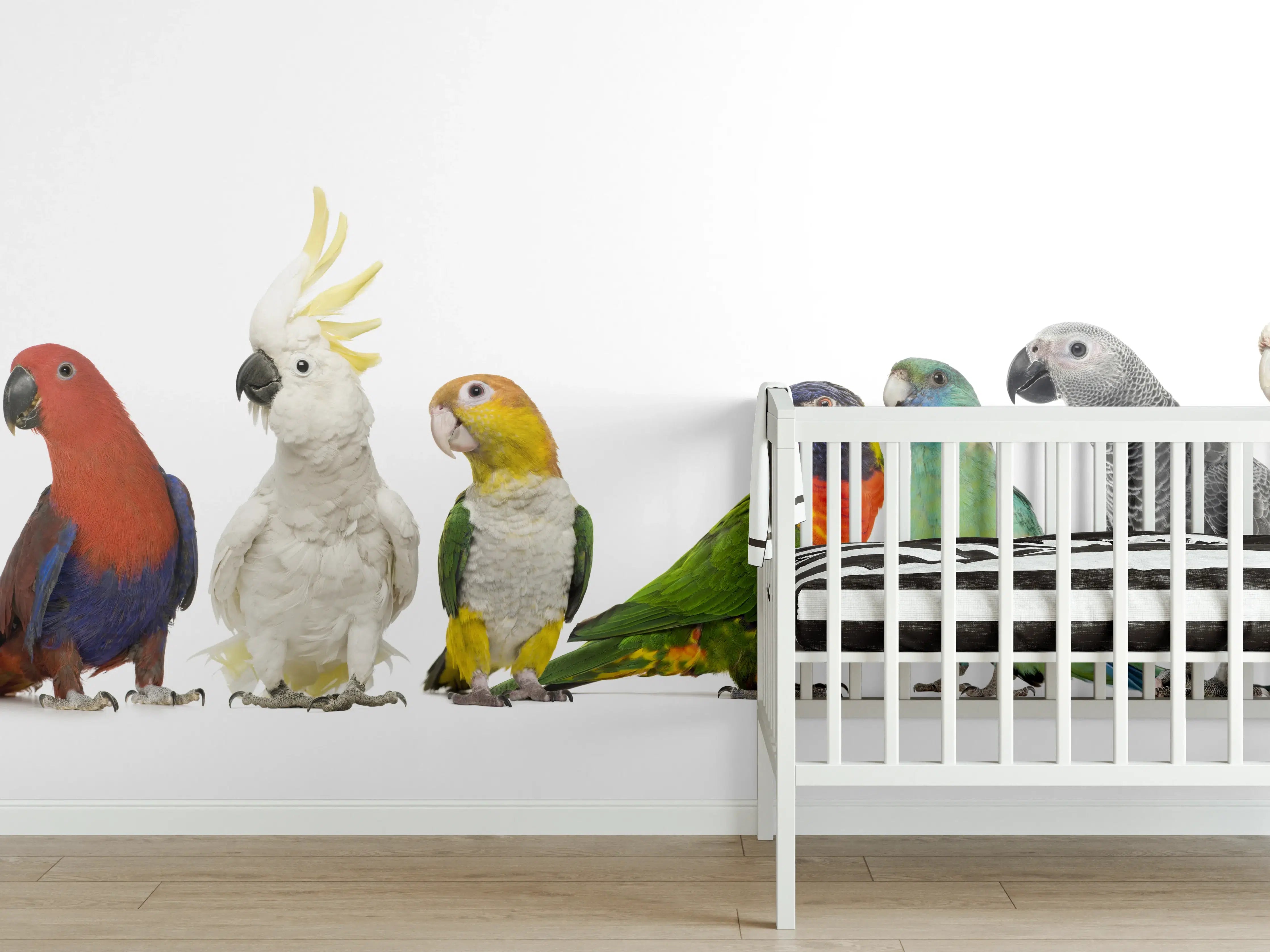 Babyzimmer Wandgestaltung - Tropische Papageien - Exotisch