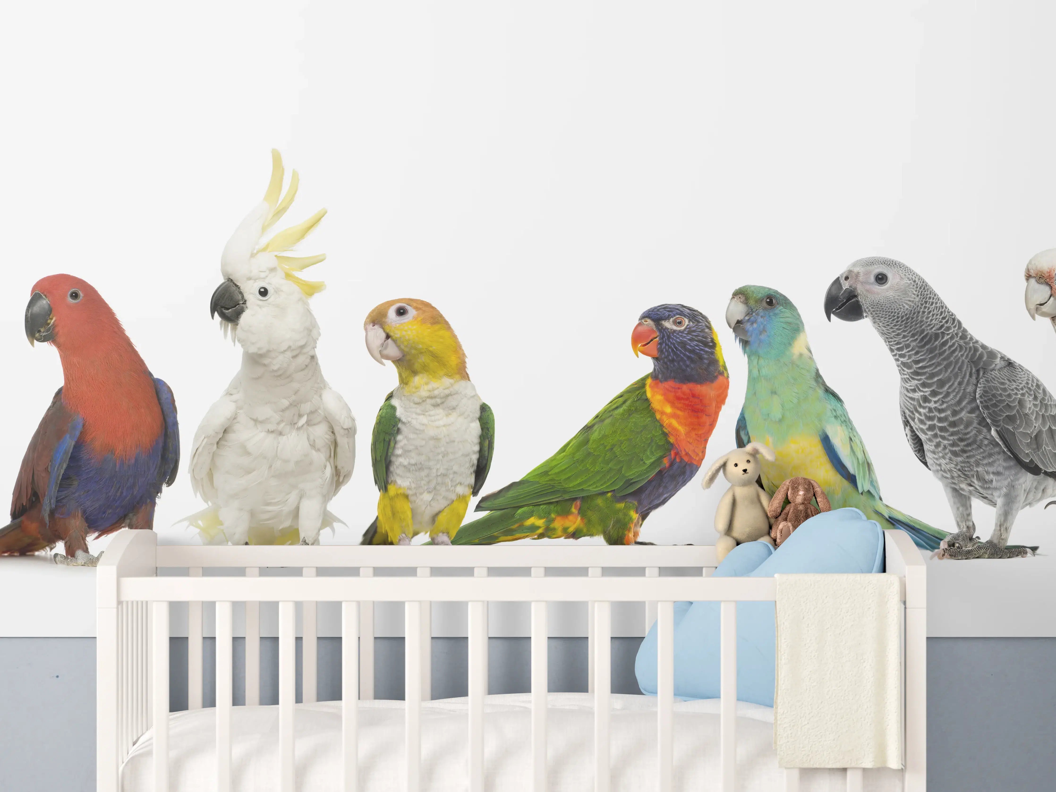 Babyzimmer Wandgestaltung - Tropische Papageien - Exotisch
