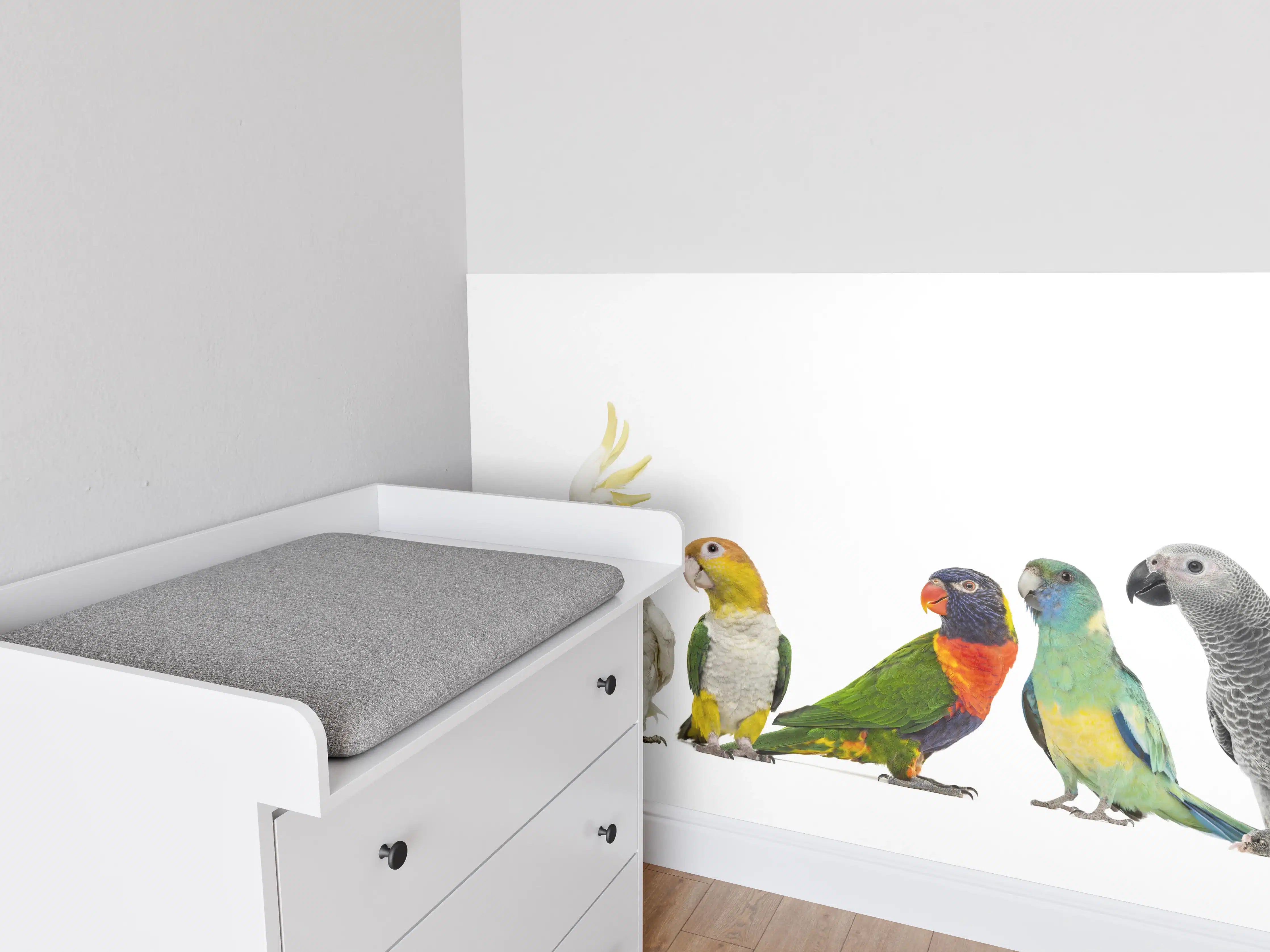 Babyzimmer Wandgestaltung - Tropische Papageien - Exotisch