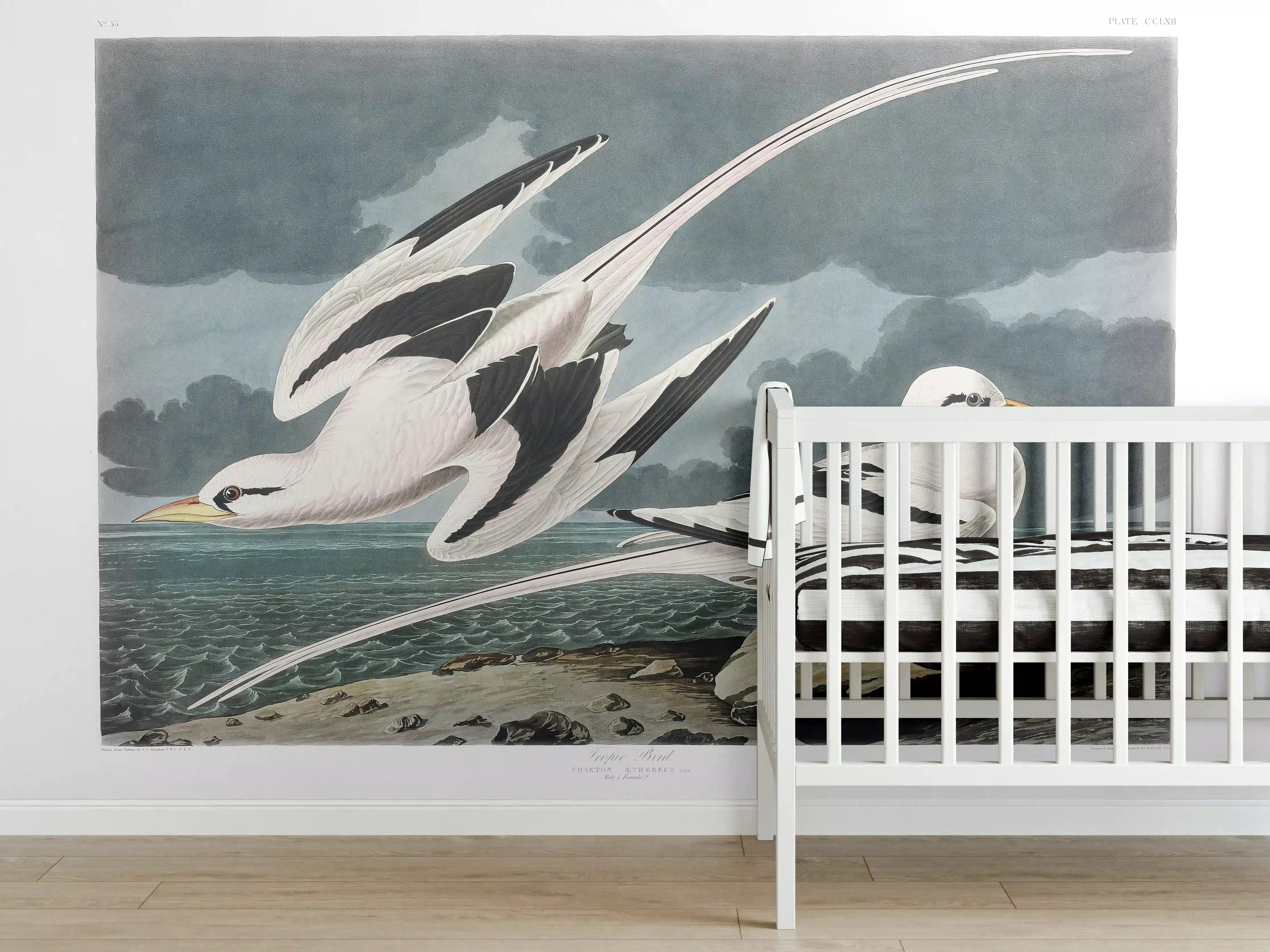 Babyzimmer Wandgestaltung - Tropische Vögel - John James Audubon