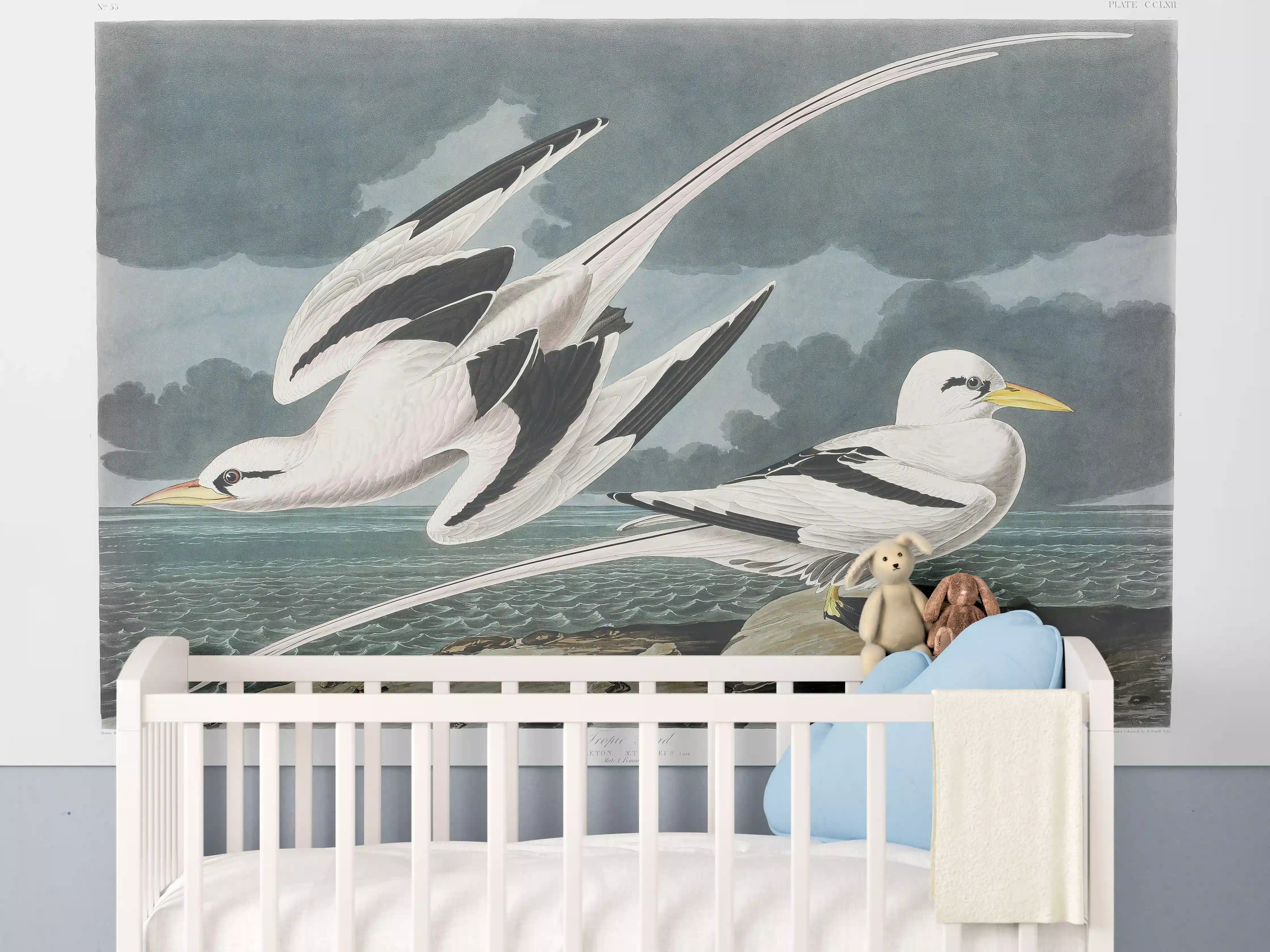 Babyzimmer Wandgestaltung - Tropische Vögel - John James Audubon