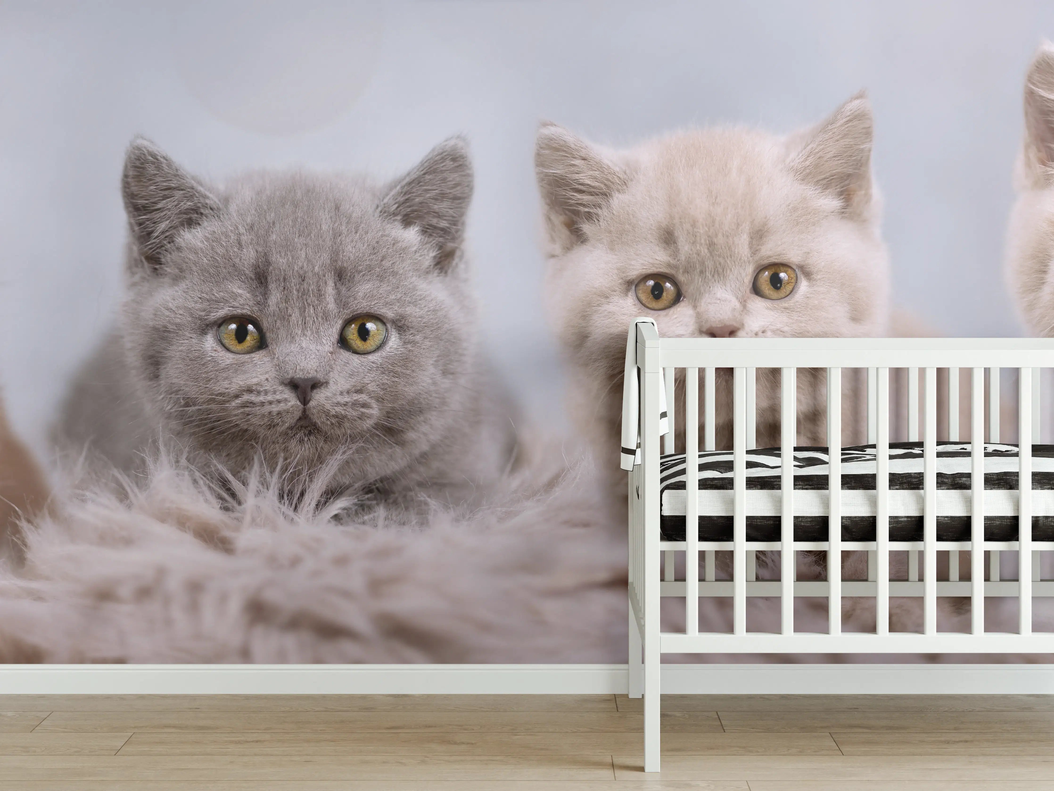 Babyzimmer Wandgestaltung - Vier süße Katzenbaby