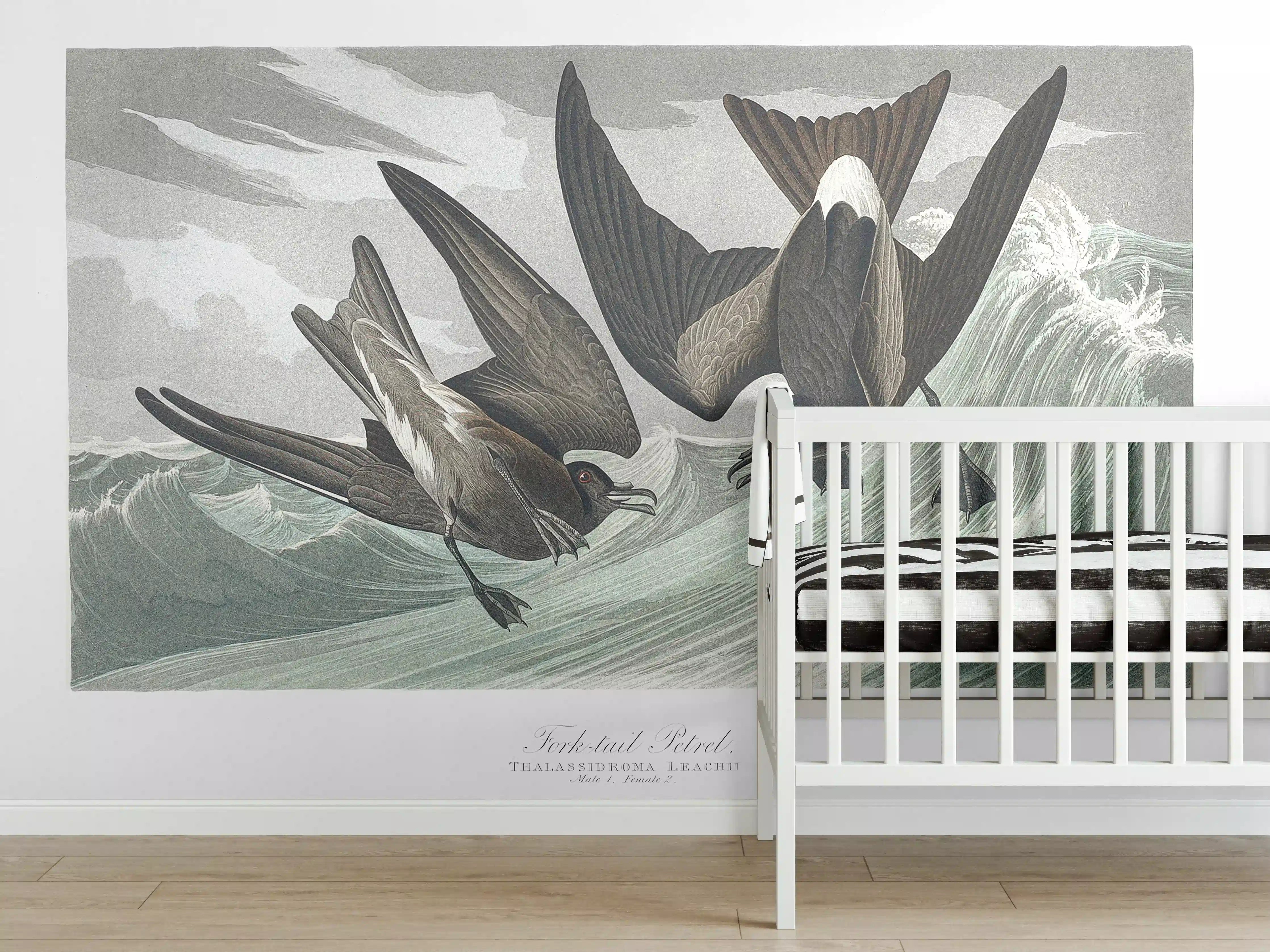 Babyzimmer Wandgestaltung - Vögel mitten im Meer - Robert Havell 